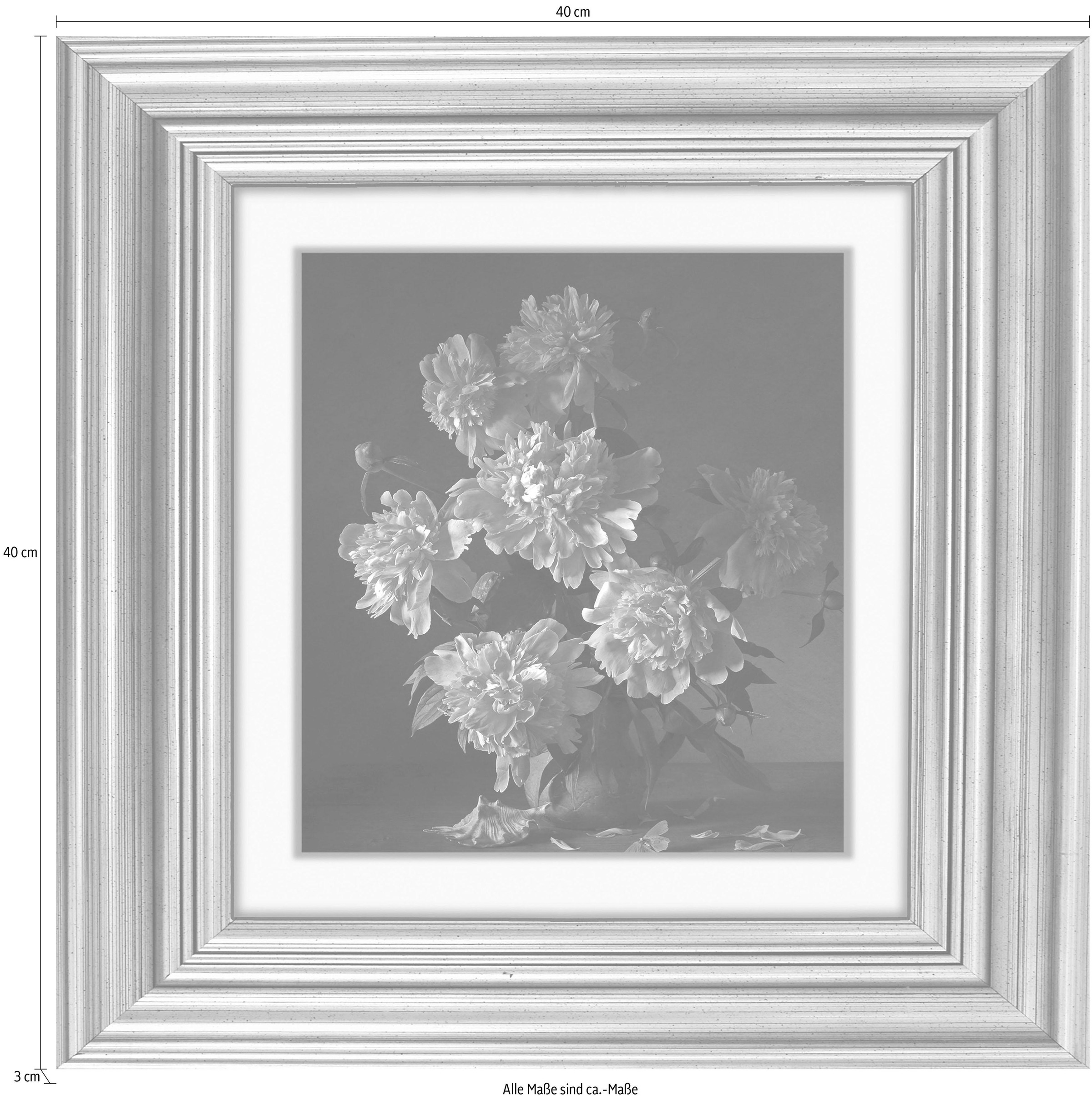 queence Acrylglasbild »Rosa Blüten«, Blumen-Blumenbilder-Kunst-Pflanzen-Pflanzenbilder-Gemälde, Fine Art-Print in Galeriequalität