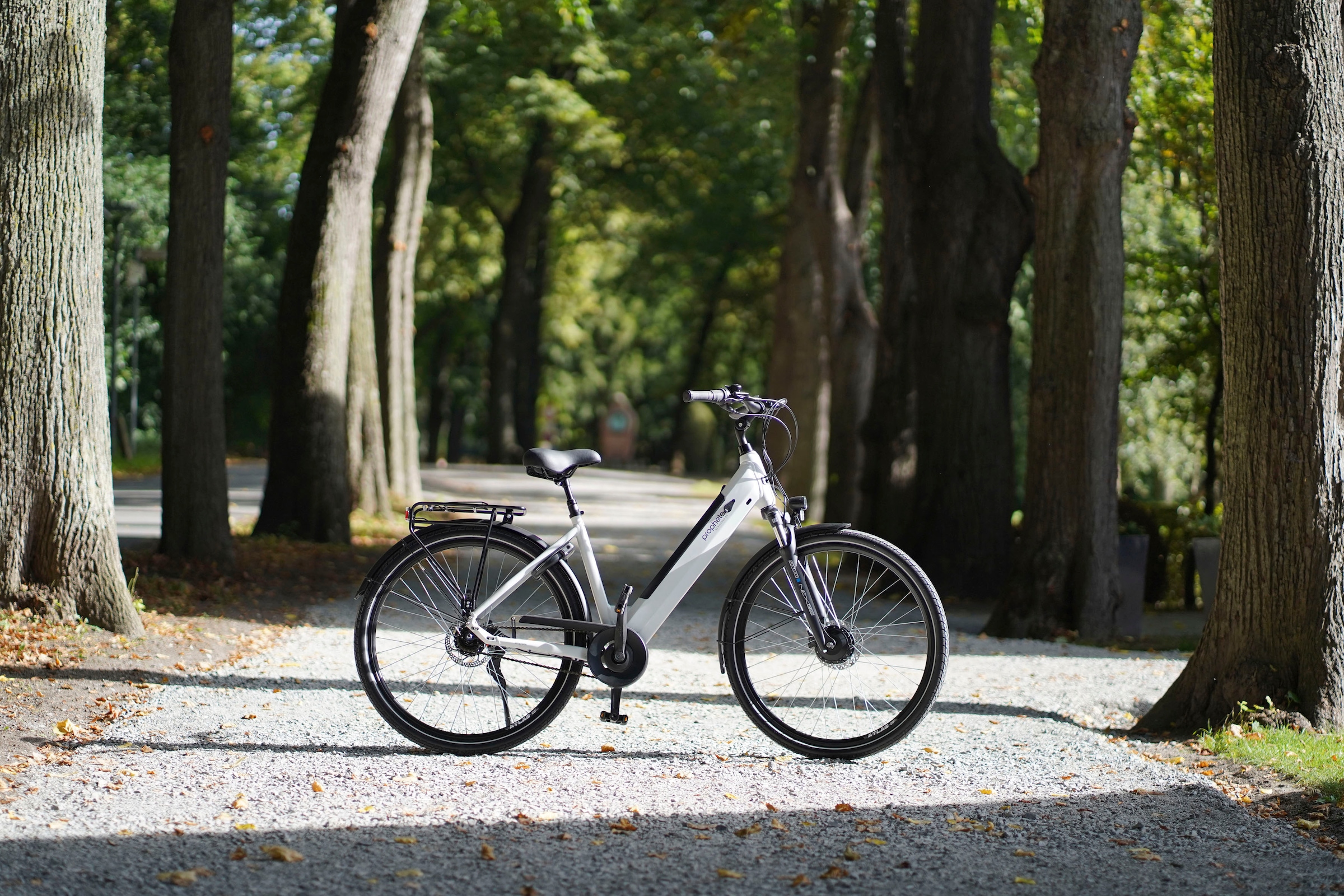 Prophete E-Bike »Geniesser 2.0«, 7 Gang, Shimano, Nexus, Frontmotor 250 W, inkl. Rahmenschloss