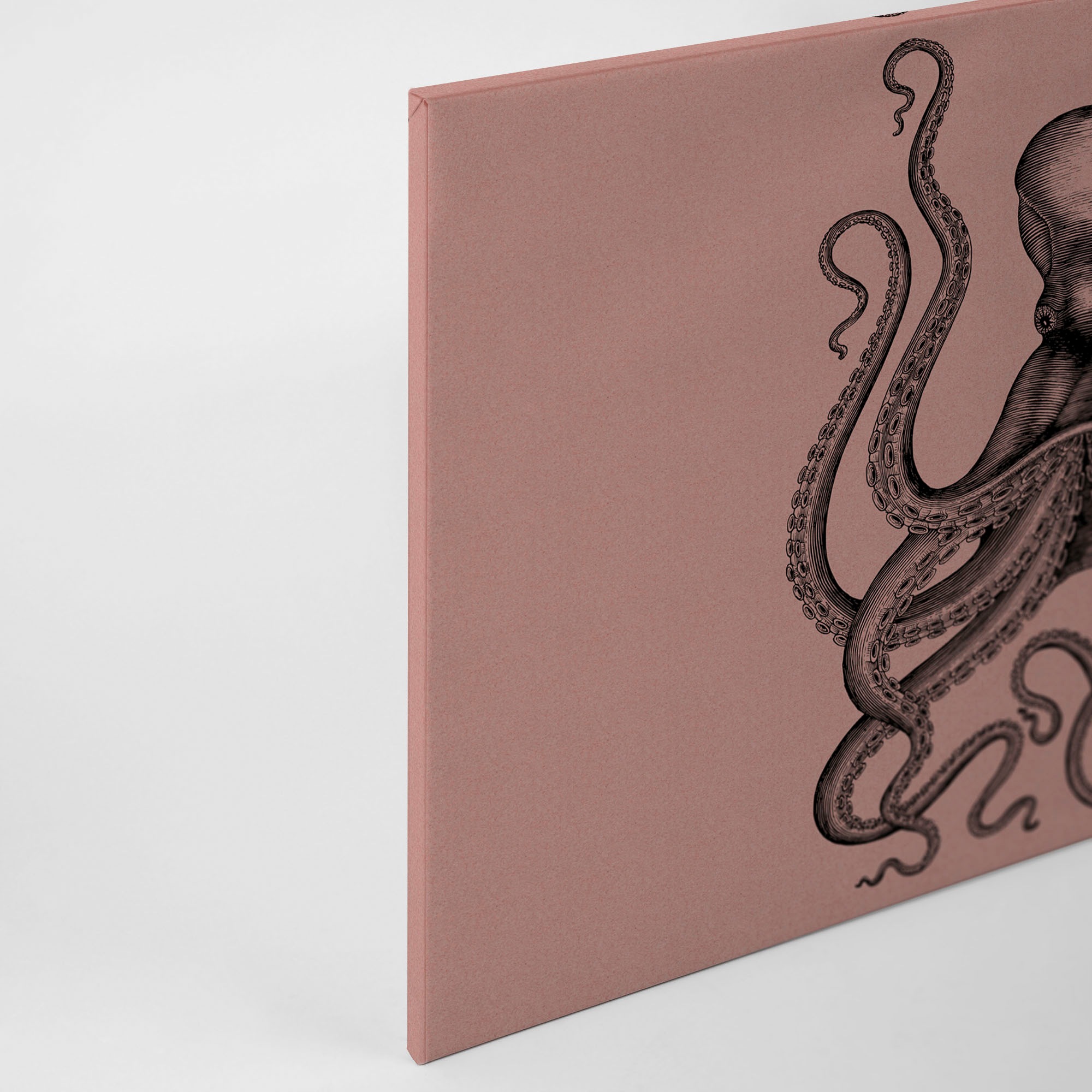 A.S. Création Leinwandbild »jules«, Kunst-Tiere-Kinder, (1 St.), Keilrahmen Bild Octopus Krake Leinwand-Bild Wohnzimmer modern Wandbild
