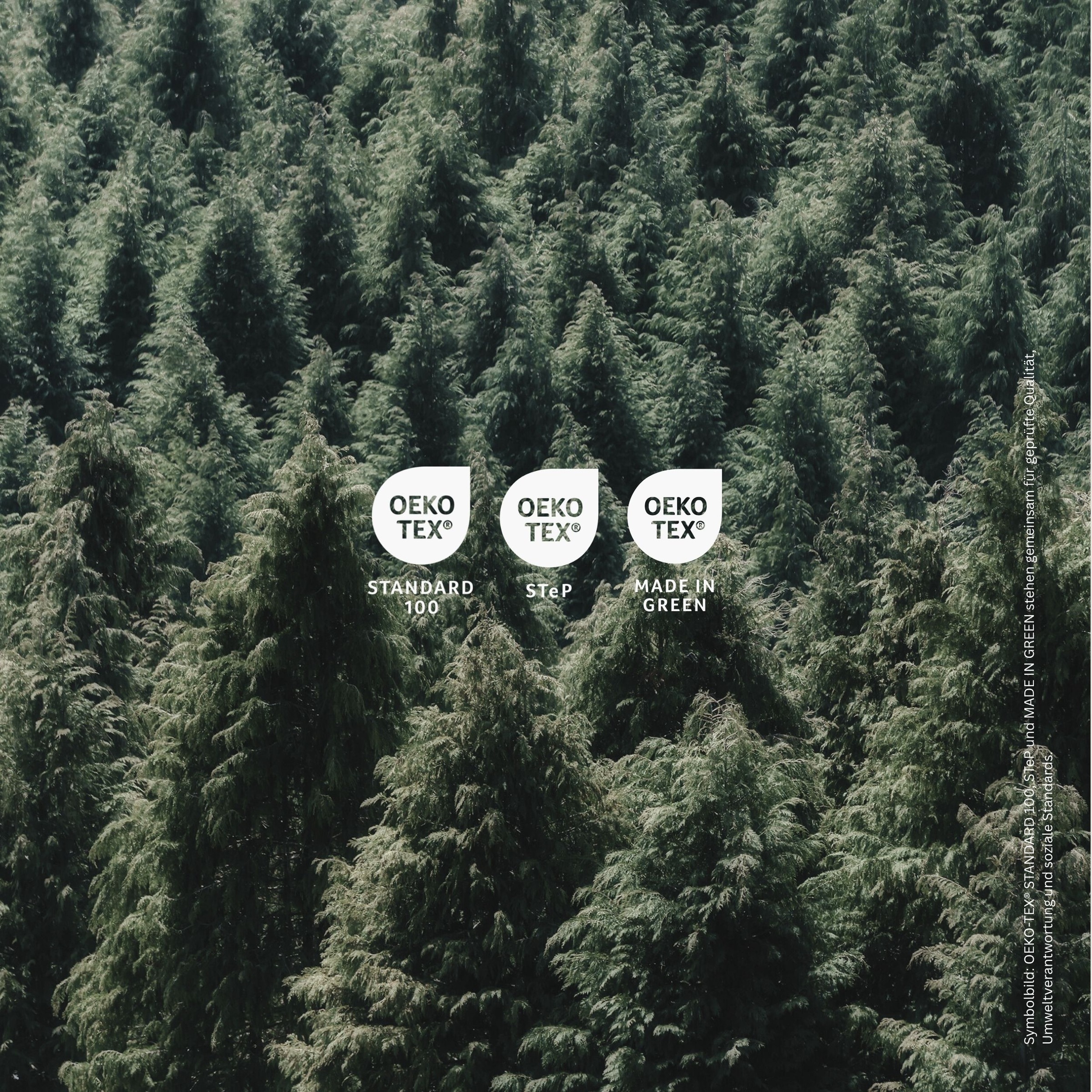 uncover by SCHIESSER Spannbettlaken »New Jersey aus 100% Baumwolle« OEKO-TEX® MADE IN GREEN