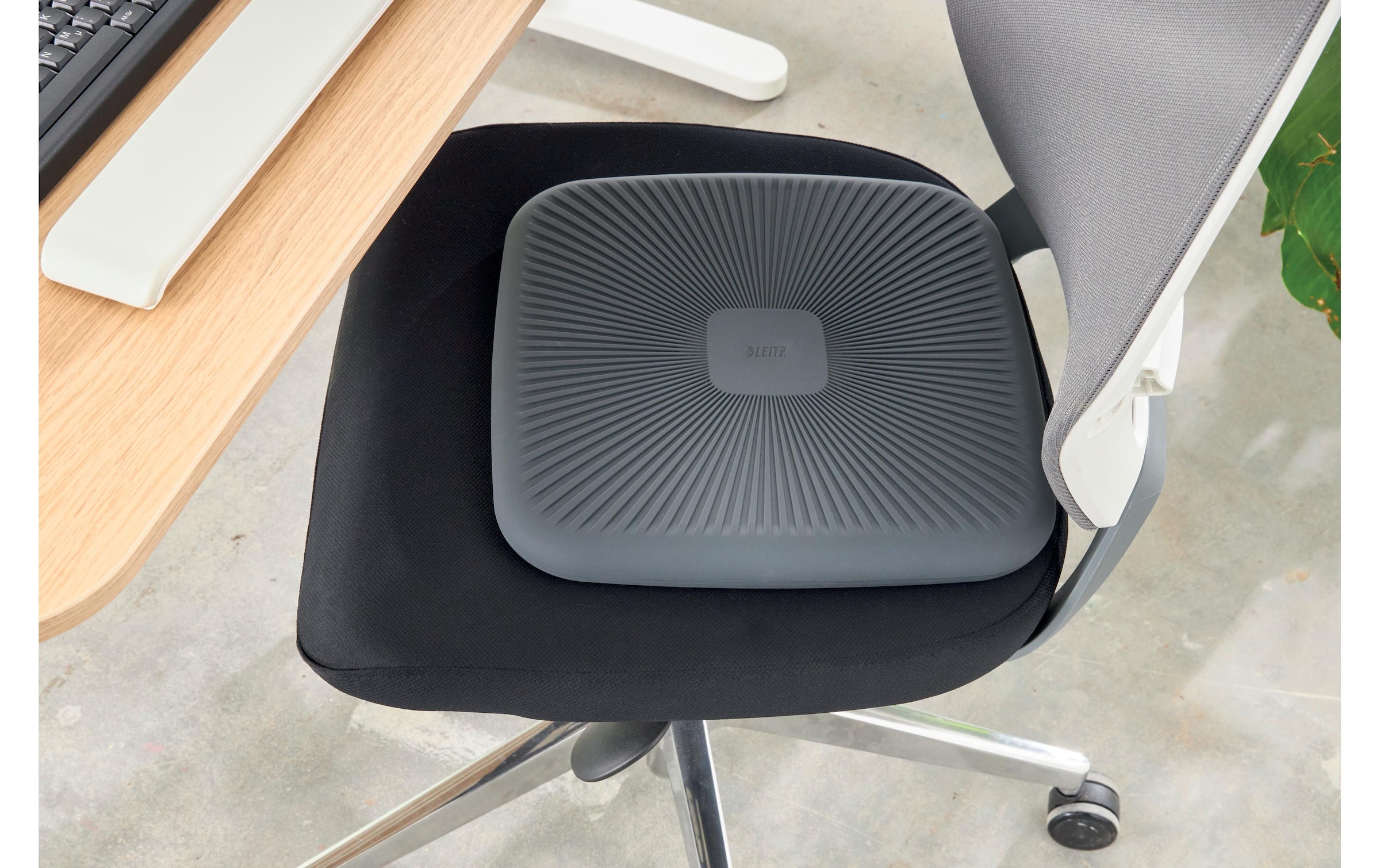 LEITZ Balancekissen »Ergo Active«