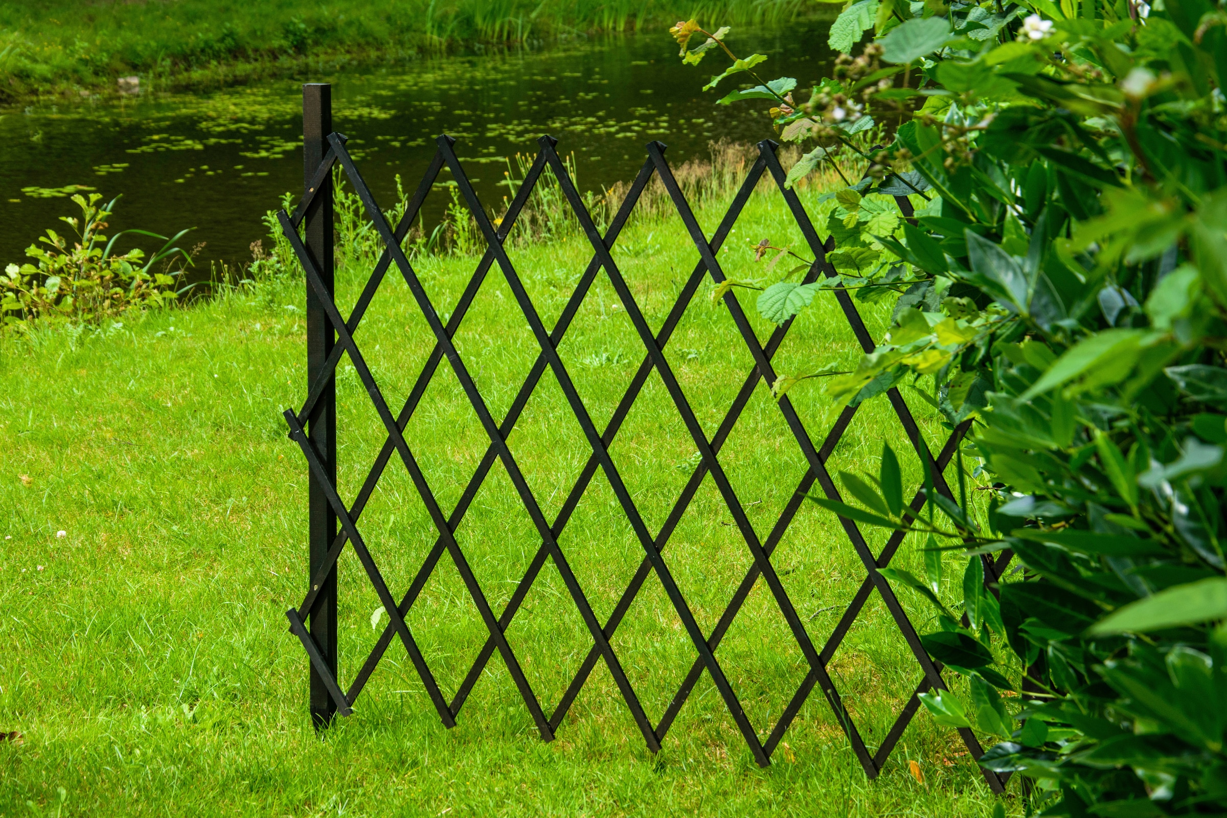 dobar Rankgitter »Gr. L«, faltbar, BxTxH: 160x35x120 cm