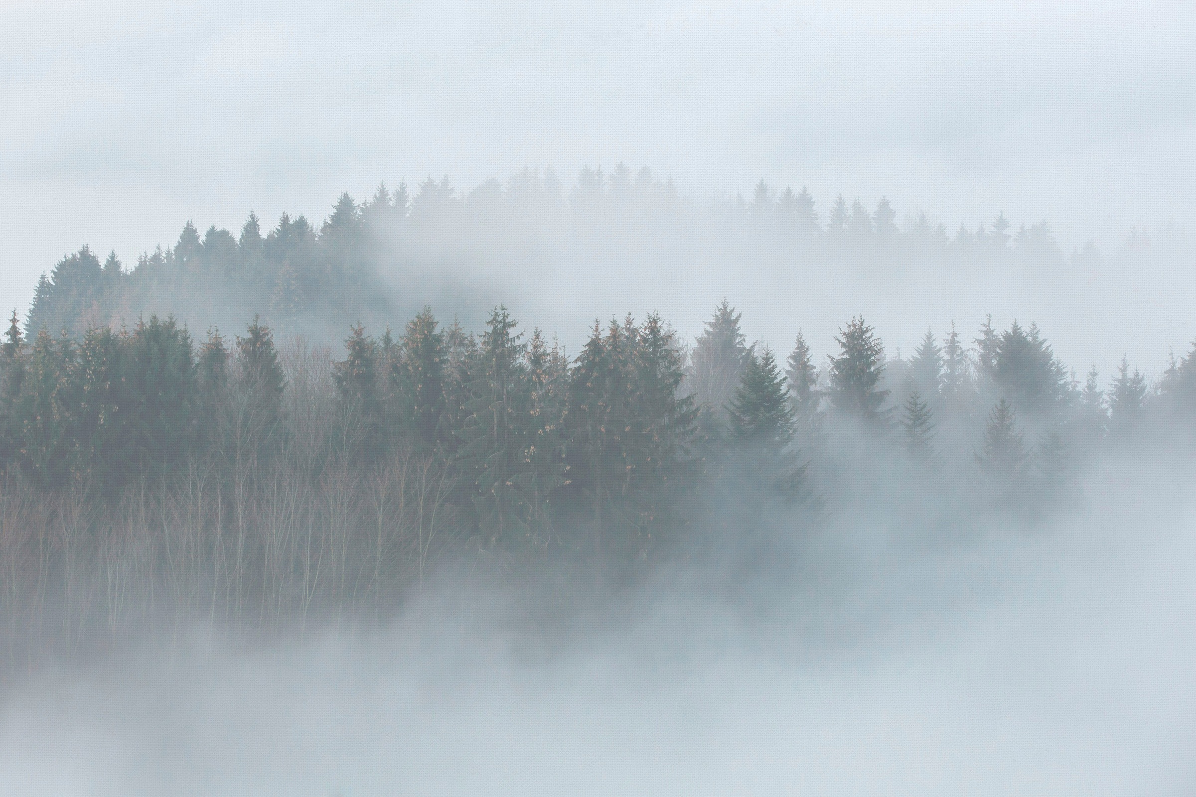 A.S. Création Leinwandbild »Misty Forest«, Kunst-Wald-Kinder, (1 St.), Nebel Bild Keilrahmen Leinwand-Bild Wohnzimmer modern Wandbild Kinder