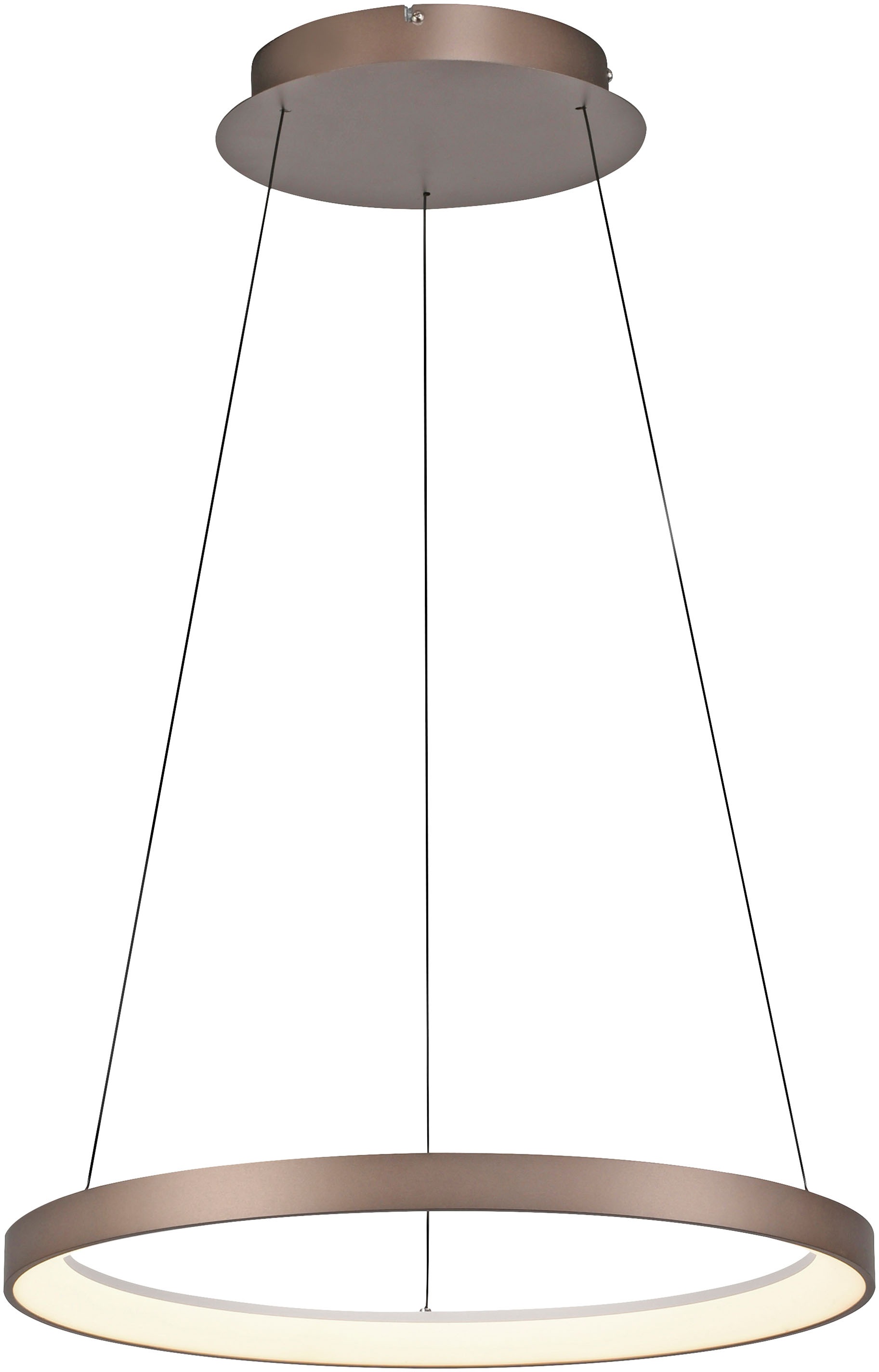 Paul Neuhaus Pendelleuchte »HOOP« LED-Board 1 Stk. Warmweiß LED, dimmbar, S günstig online kaufen