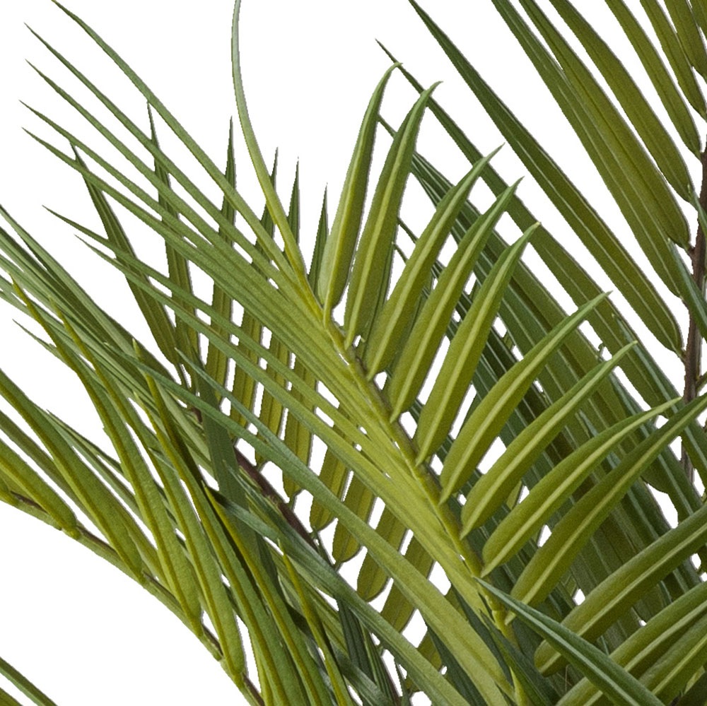 Creativ green Kunstpalme »Arecapalme«, mit Metallrack günstig online kaufen