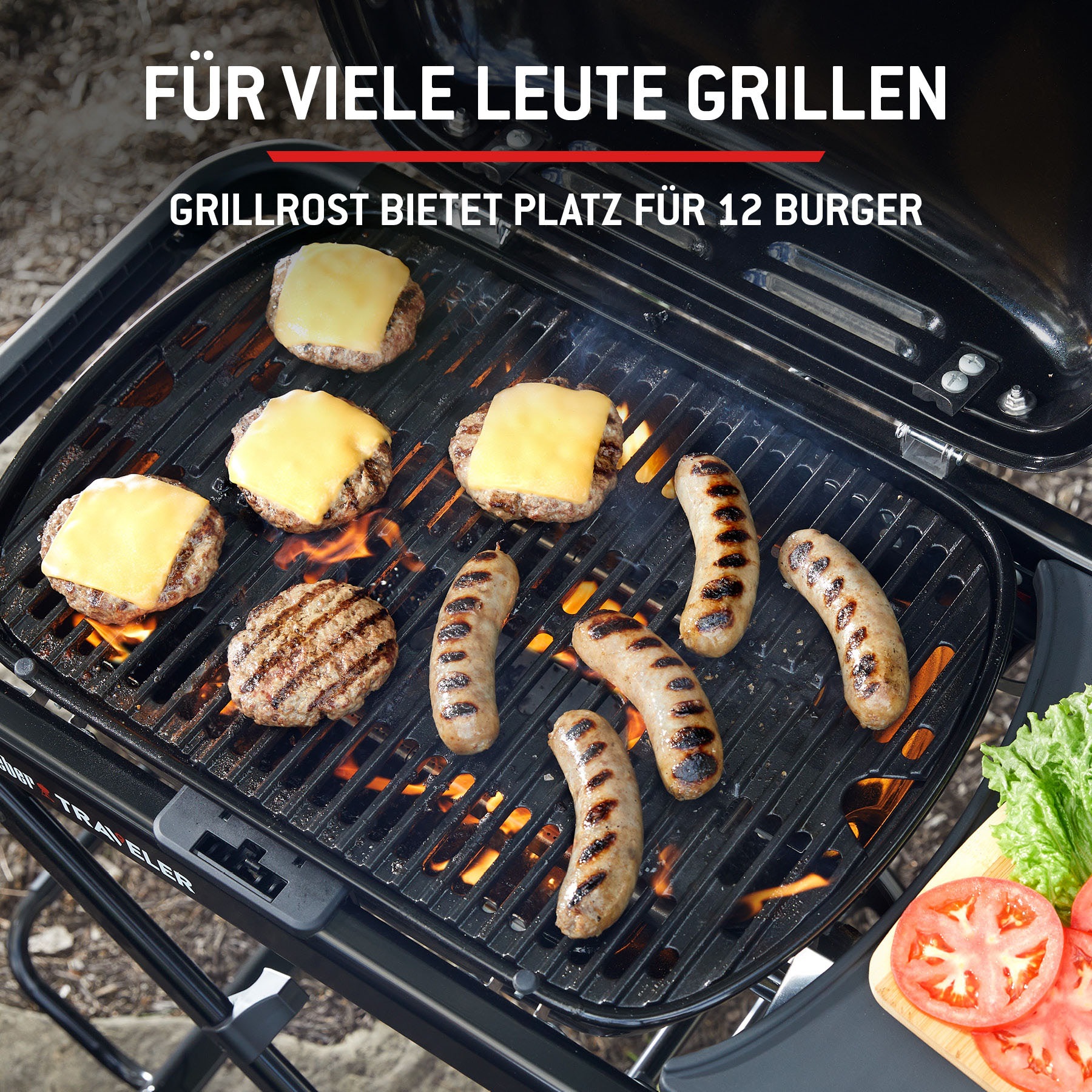 Weber Camping-Gasgrill »Traveler Compact«