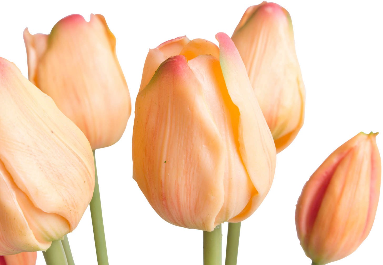Botanic-Haus Kunstblume »Tulpenbündel real Touch«