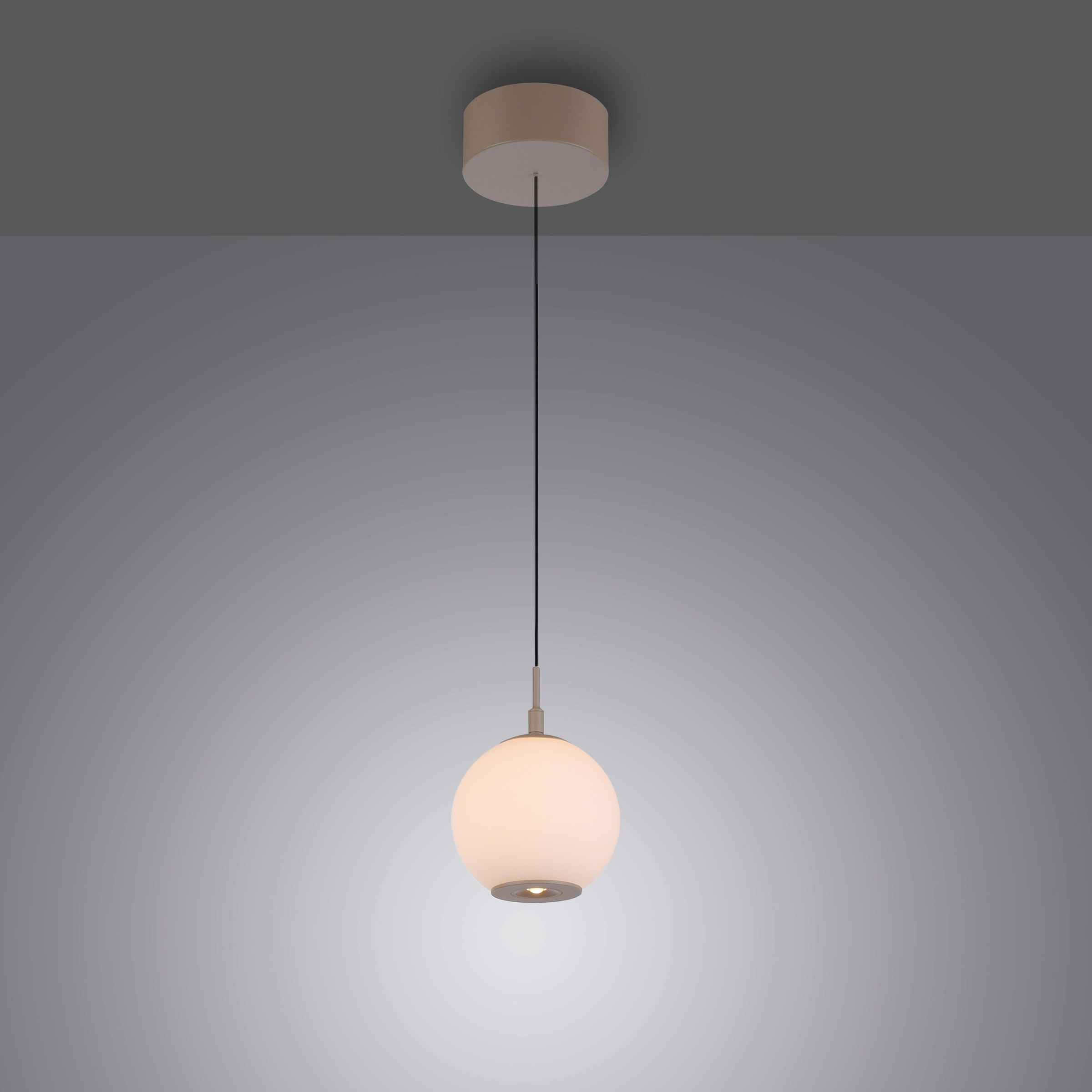 Paul Neuhaus LED Pendelleuchte »SANDORA« LED-Board 1 Stk. warmweiß - kaltweiß Comfort Lift, CCT(2200-5000K), 3-Stufen Dimmer über Wandschalter