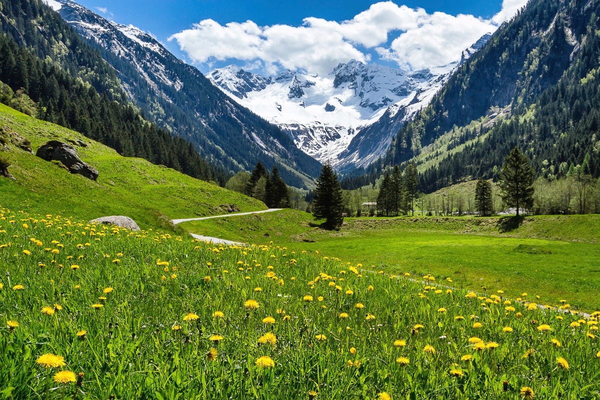 Papermoon Fototapete »Alpenlandschaft«