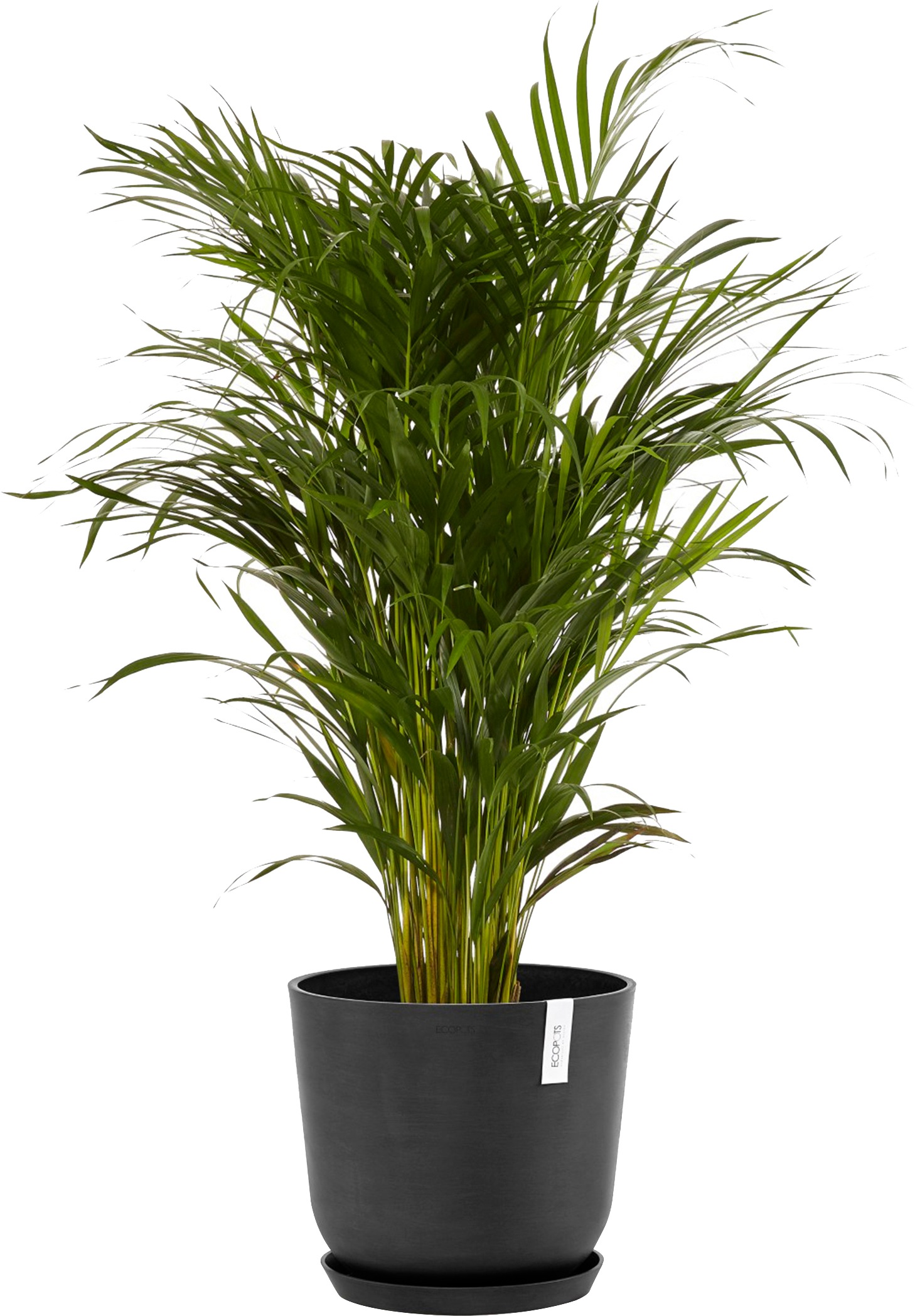 ECOPOTS Blumentopf »Oslo 35 Dunkelgrau«, für innen und außen: frostsicher, bruchsicher und lichtbeständig