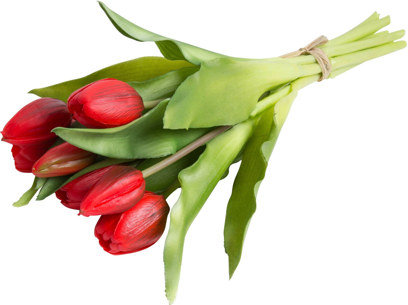 »Willa«, Tulpenbündel 7er-Set auf im bestellen Kunstblume Raten Botanic-Haus