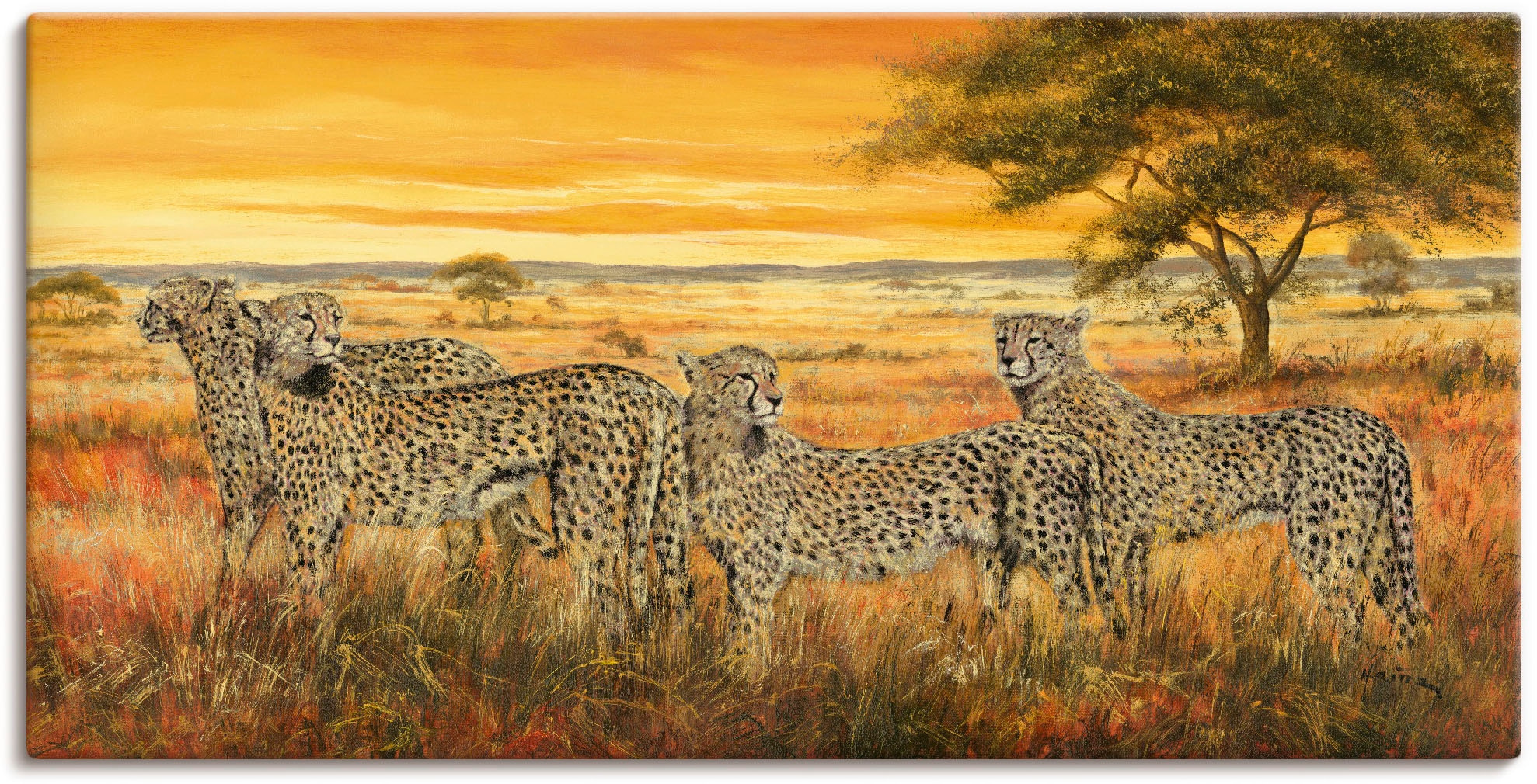 Artland Wandbild »4 Geparden«, Wildtiere, (1 St.), als Leinwandbild, Wandau günstig online kaufen