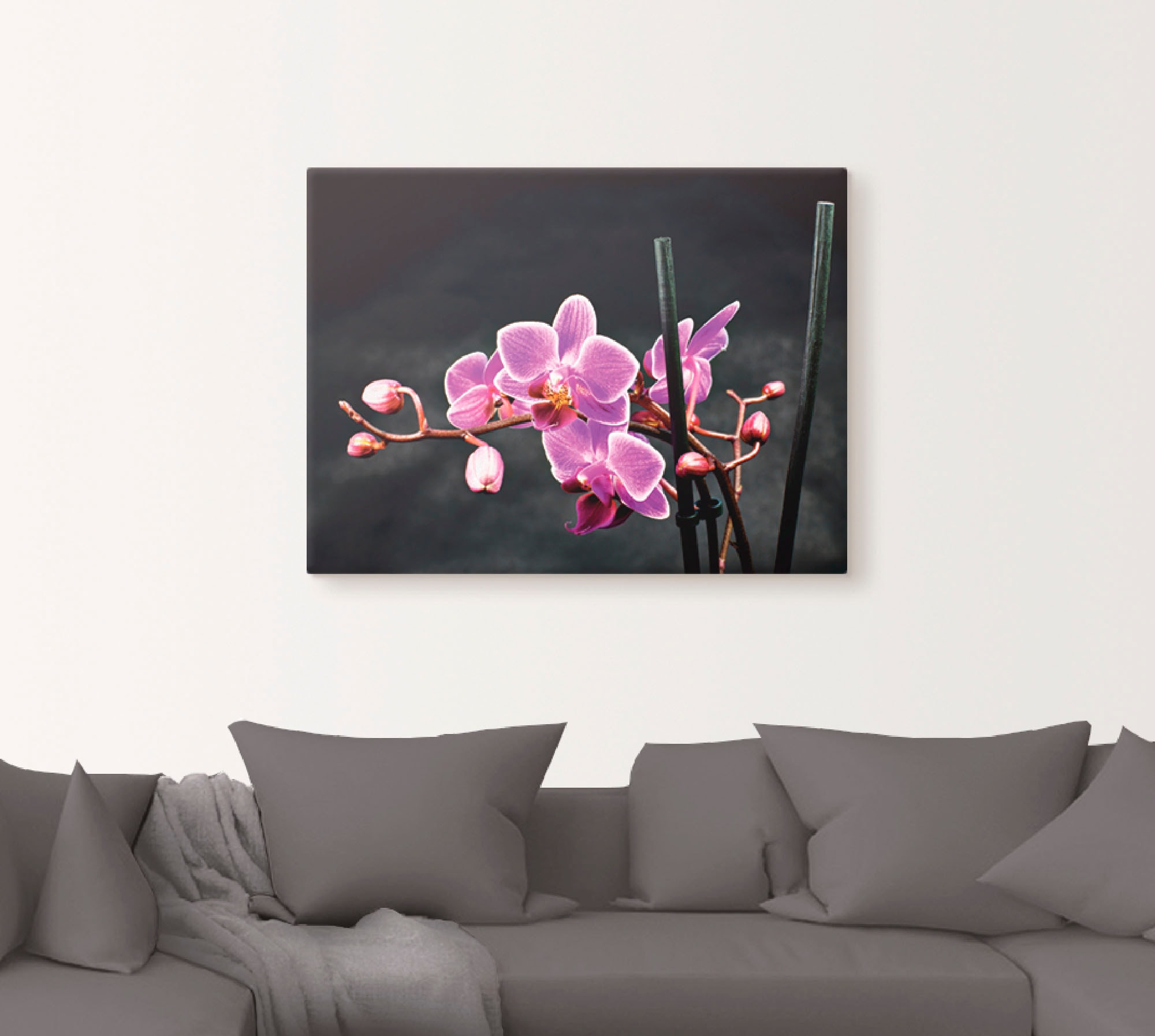 Artland Wandbild »Eine Orchidee vor schwarzem Hintergrund«, Blumen, (1 St.), als Leinwandbild, Poster, Wandaufkleber in verschied. Größen