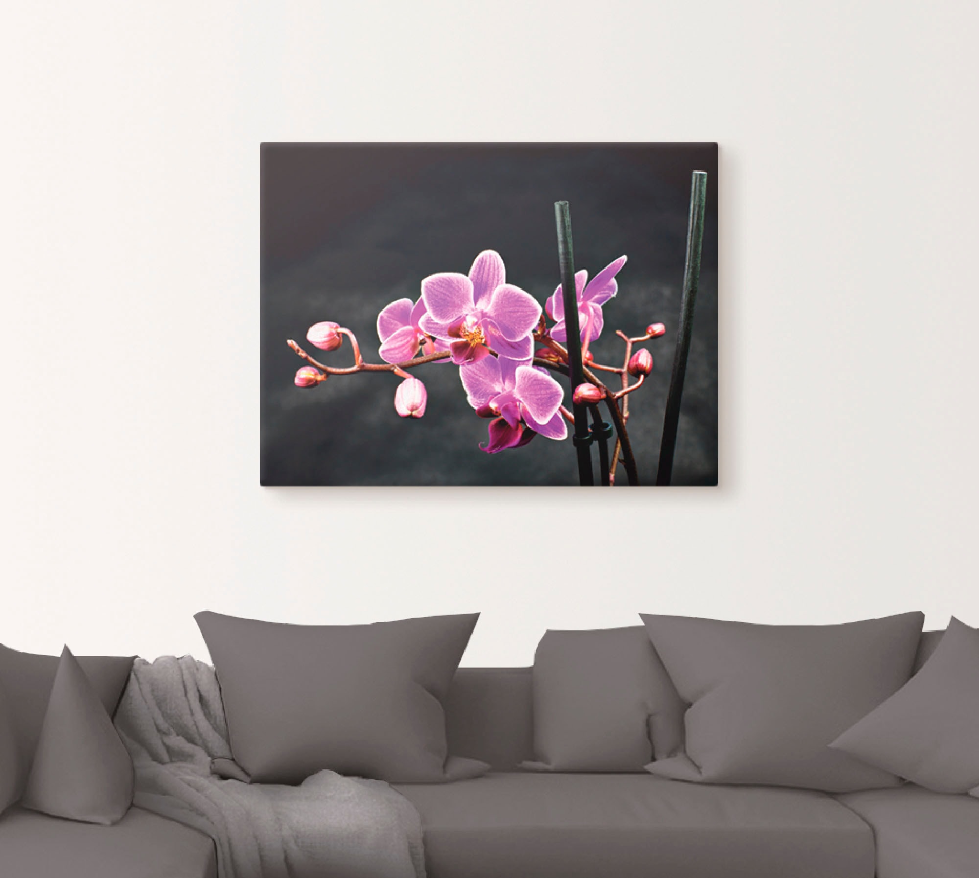 Artland Wandbild »Eine Orchidee vor schwarzem Hintergrund«, Blumen, (1 St.) günstig online kaufen