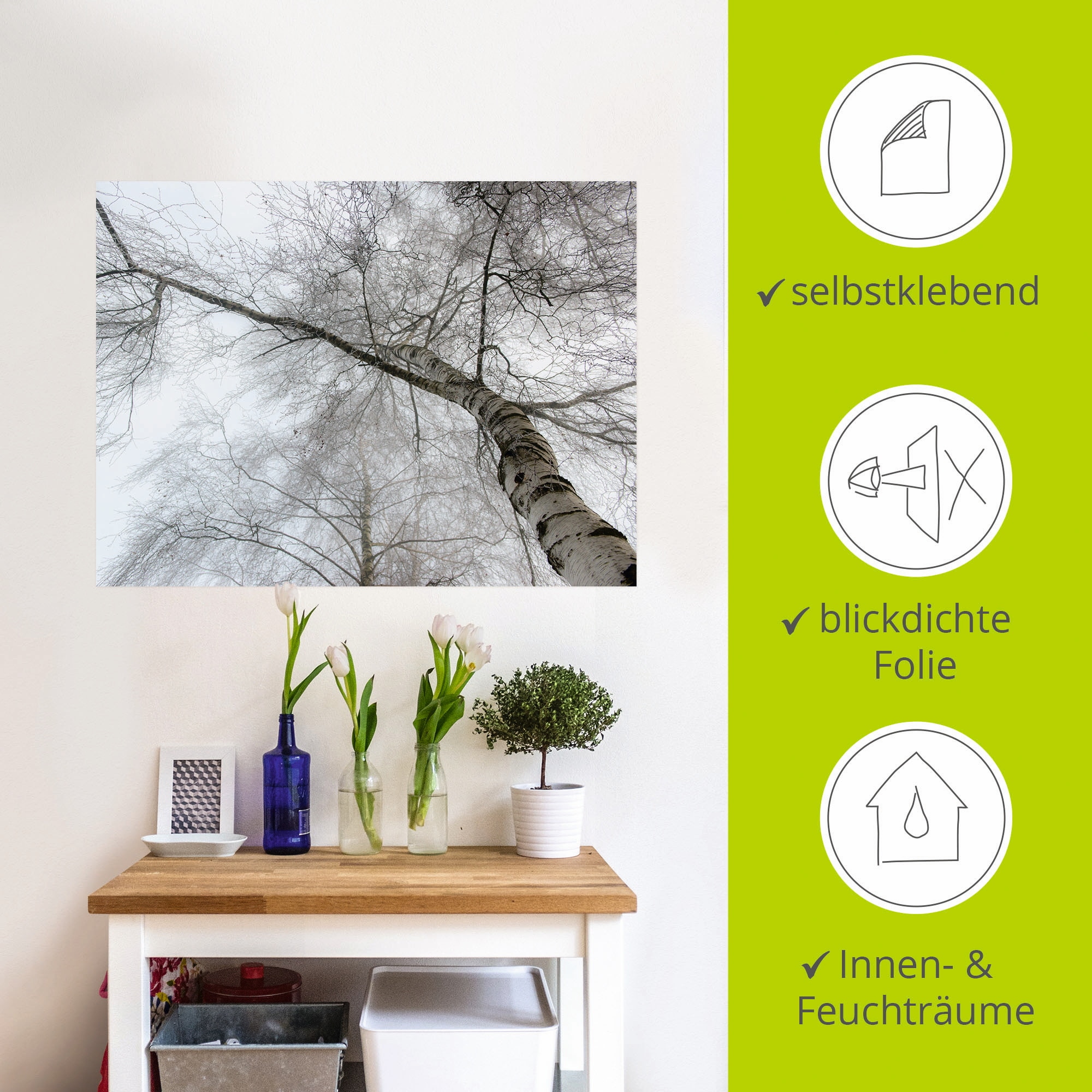 Artland Wandbild »Winter Birke«, Bäume, (1 St.), als Leinwandbild, Wandaufkleber in verschied. Größen
