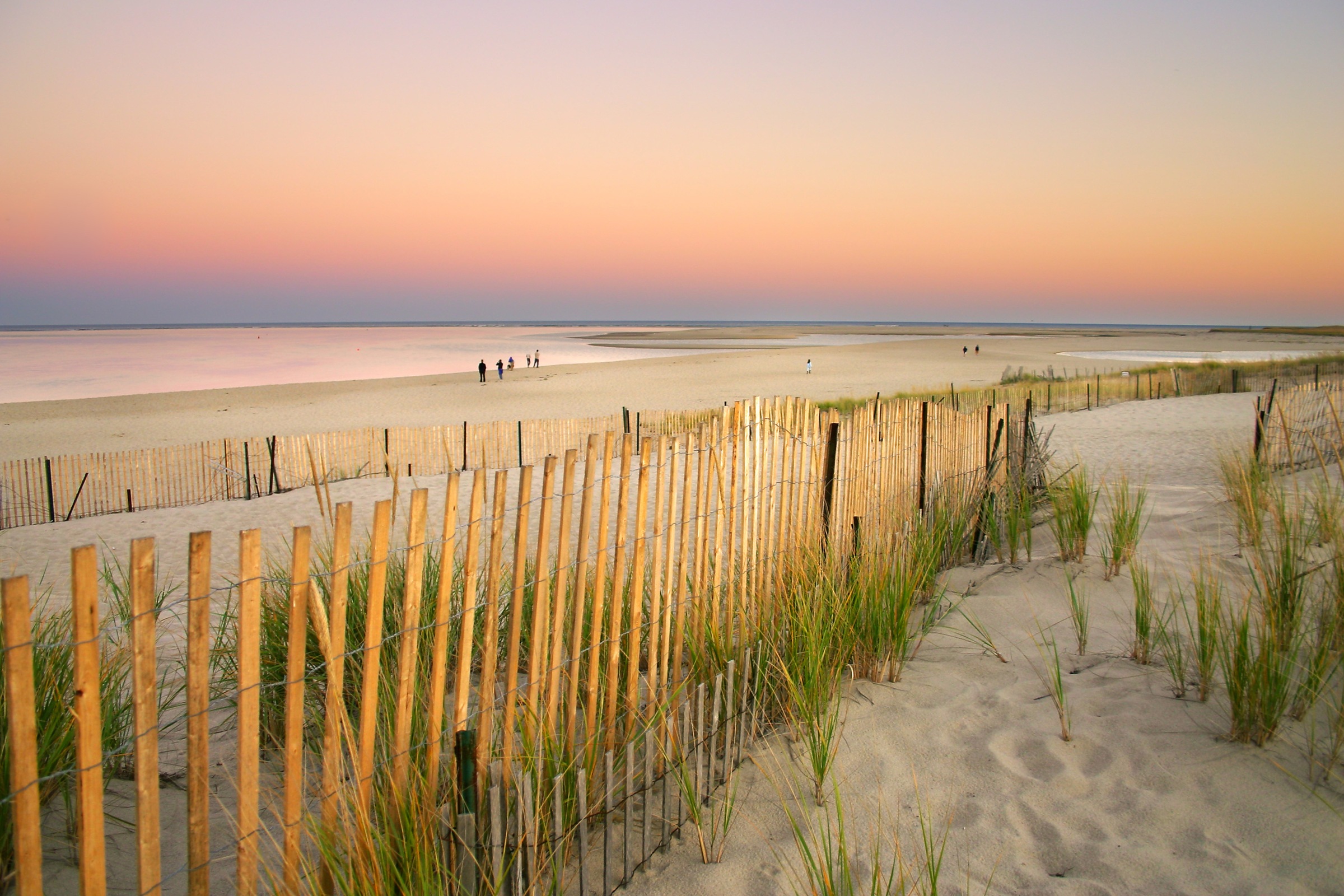 Papermoon Fototapete »Dunes Cape Cod« glatt günstig online kaufen
