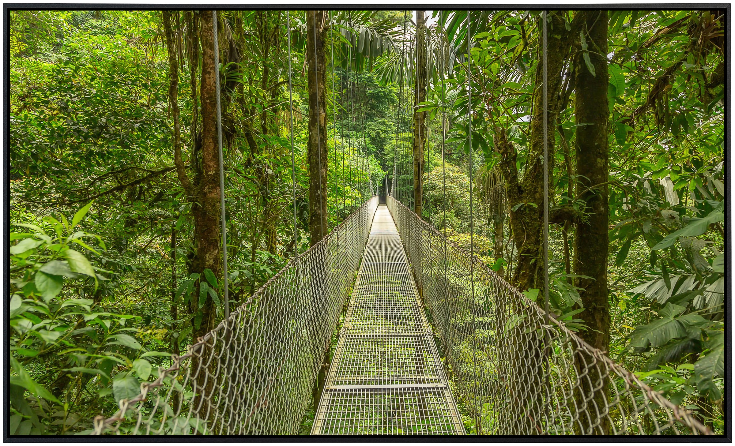 Papermoon Infrarotheizung »Hängebrücke durch Dschungel«, sehr angenehme Str günstig online kaufen
