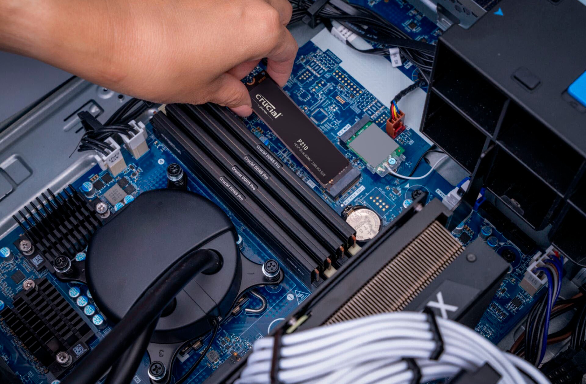 Crucial SSD-Festplatte »P310 Gen4 2280 2TB« 2000 GB Anschluss M.2 (2880)