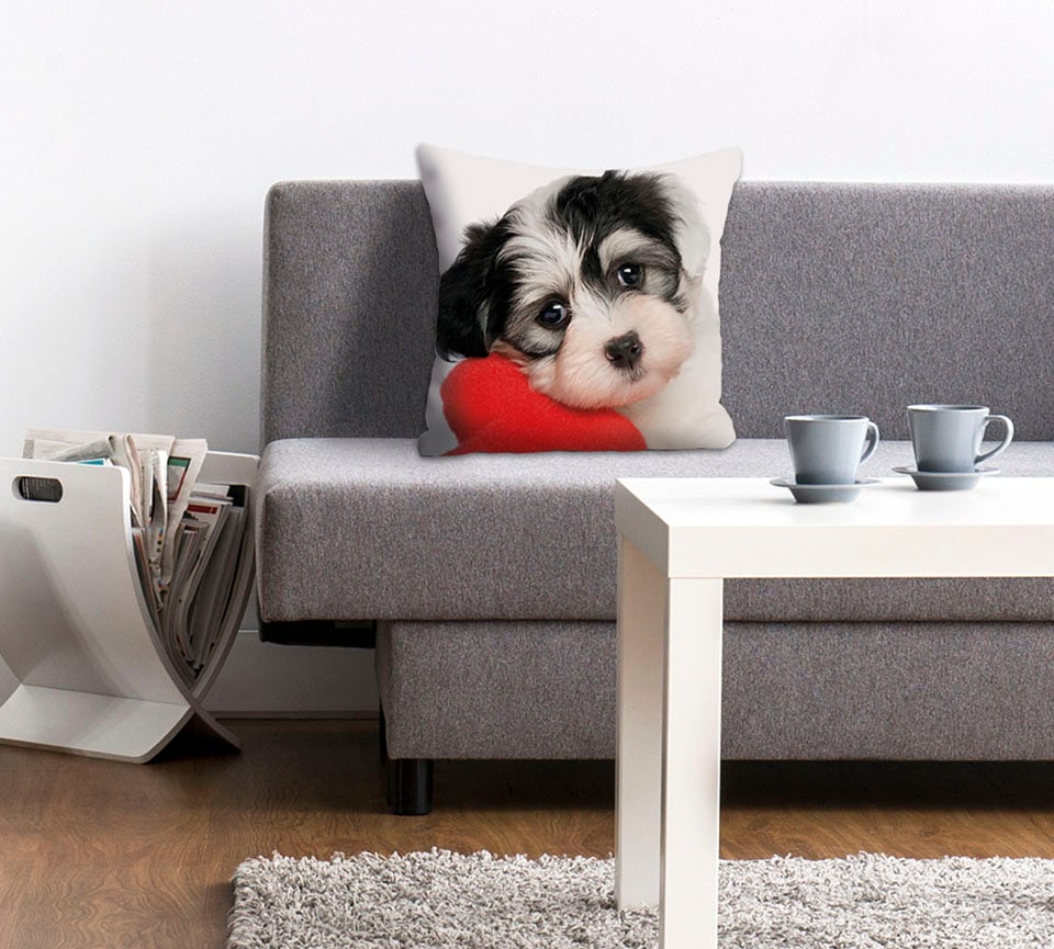 queence Dekokissen »Vanessa«, Kissenhülle,süßer kleiner Hund,Niedlich,Tierm günstig online kaufen