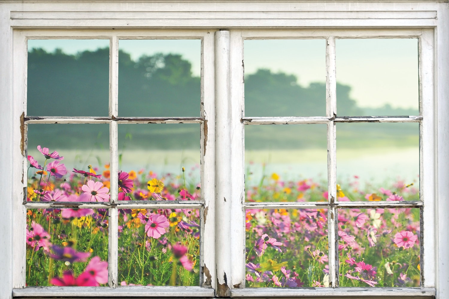 queence Leinwandbild »Blumenwiese«, Bäume-Natur-Wiesen & Bäume-Fensterblick günstig online kaufen