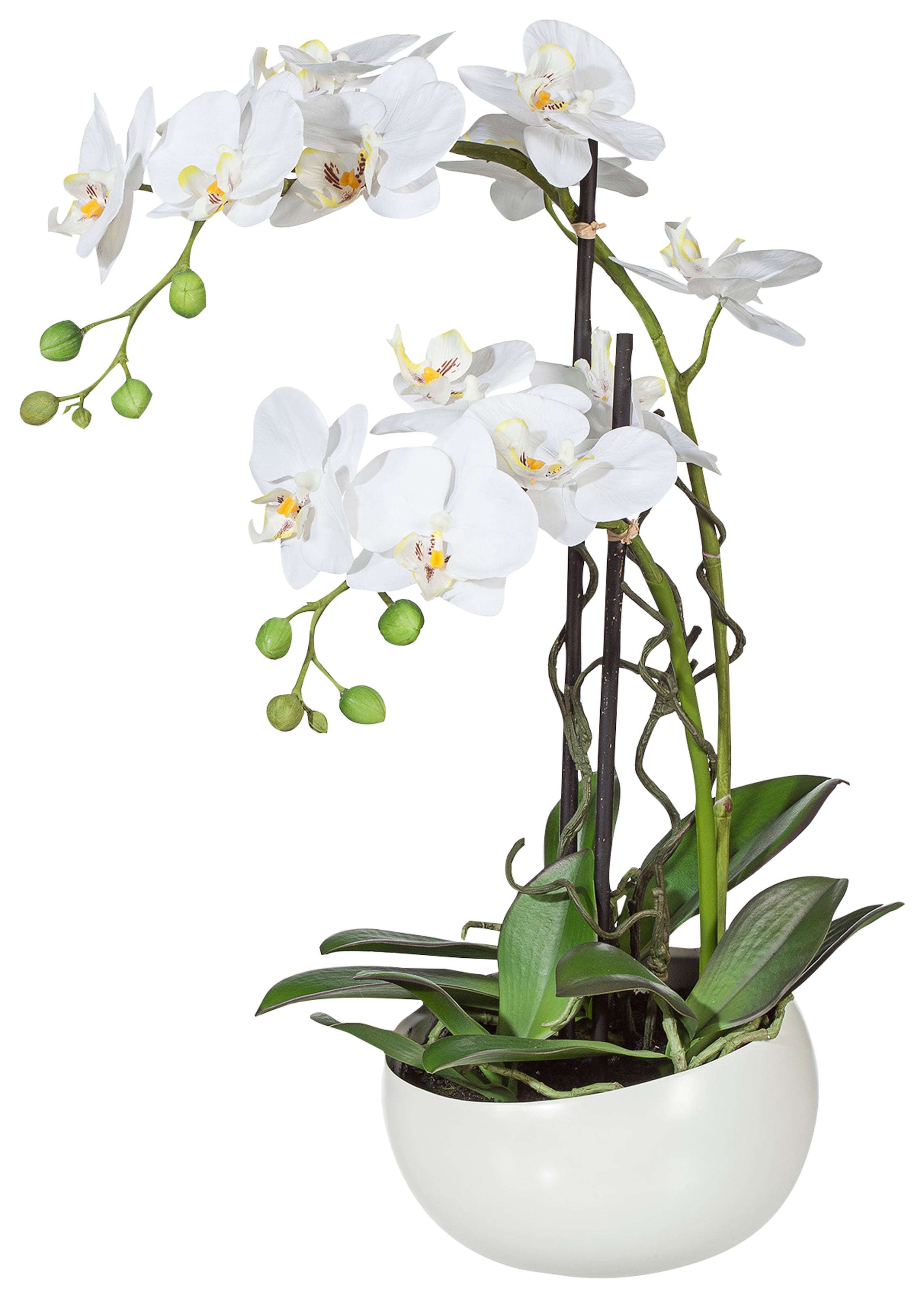 Creativ green (1 Kunstpflanze St.) online kaufen »Orchidee«