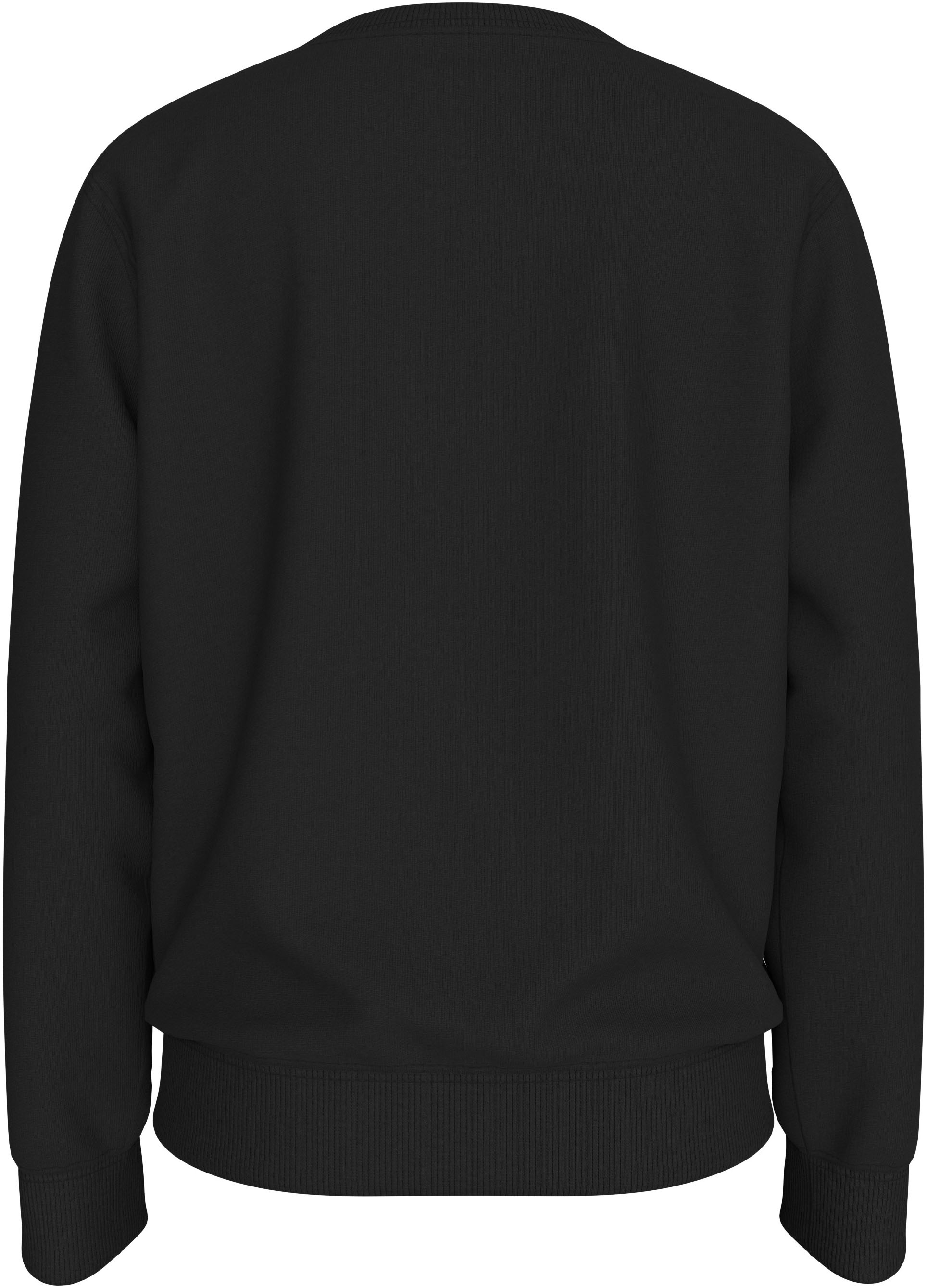 Calvin Klein Jeans Sweatshirt »Terry Graphic Cn«, für Kinder bis 16 Jahre und mit Logoschriftzug