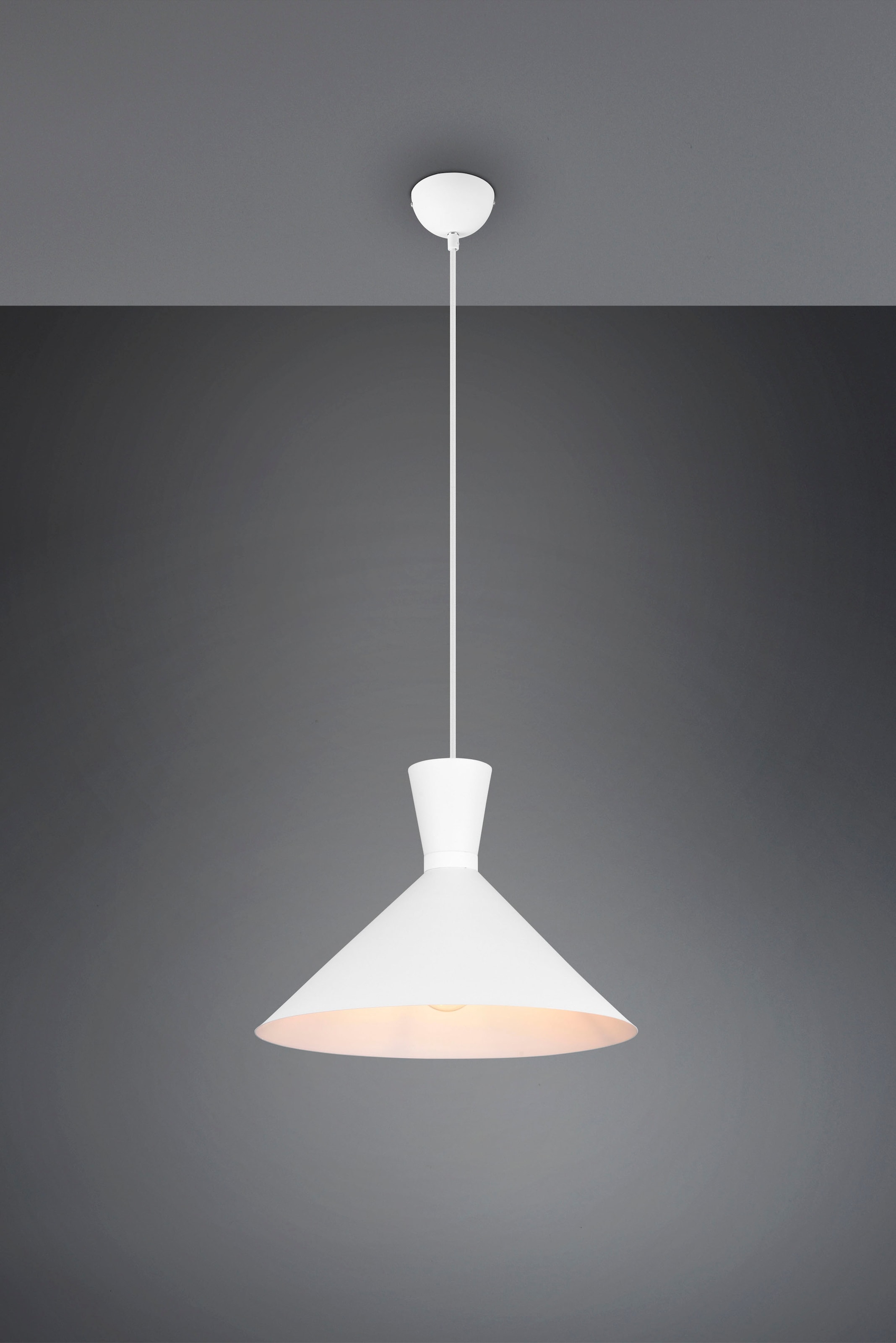 REALITY Leuchten Pendelleuchte »Enzo«, 1 flammig, Leuchtmittel E27 | ohne Leuchtmittel, Hängelampe 1-flammig, E27 max 28W (exkl.), höhenverstellbar, Ø 35cm