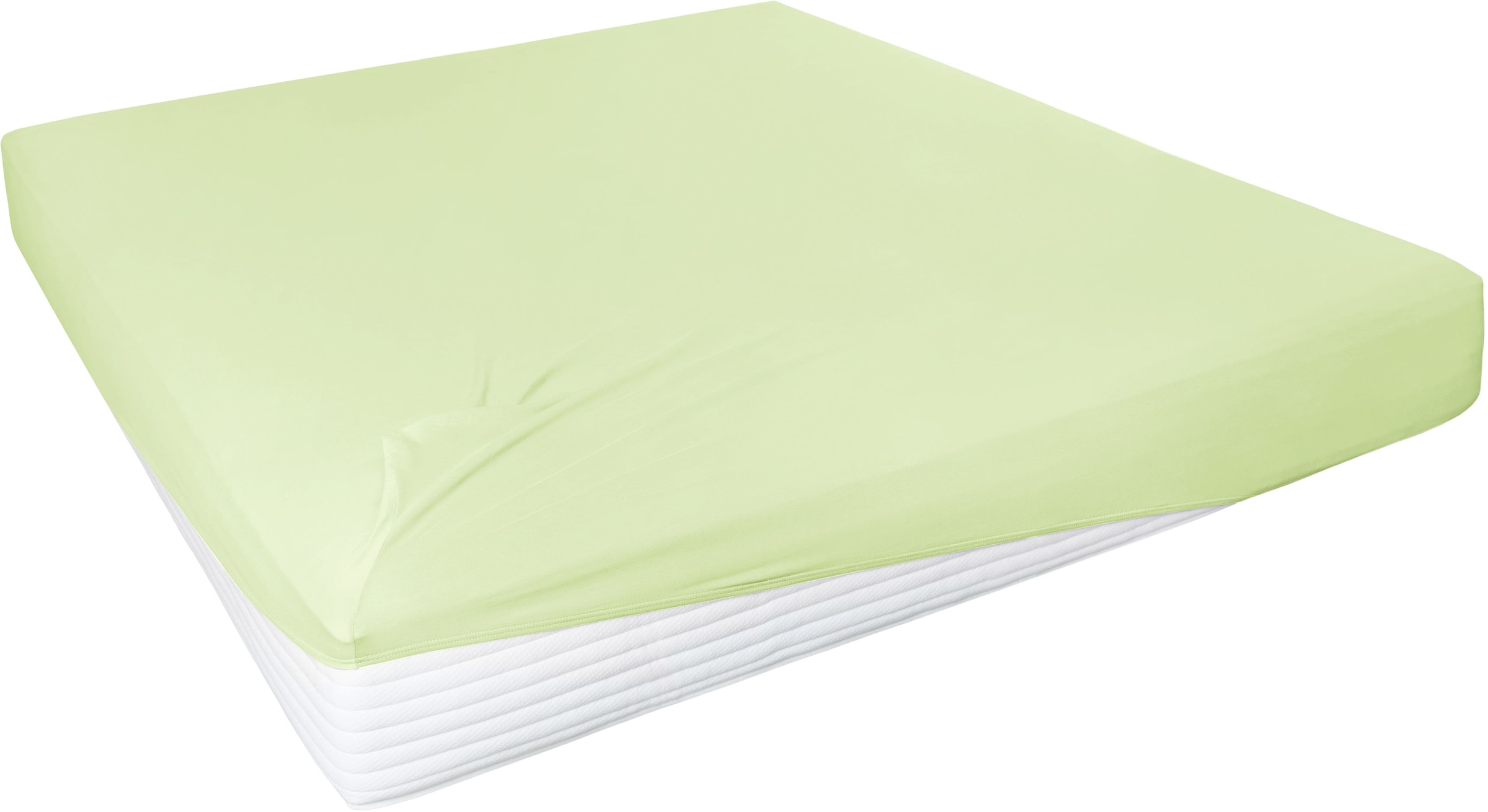 Primera Spannbettlaken "Elasthan-Feinjersey" PREMIUM, aus 95% gekämmter Bau günstig online kaufen