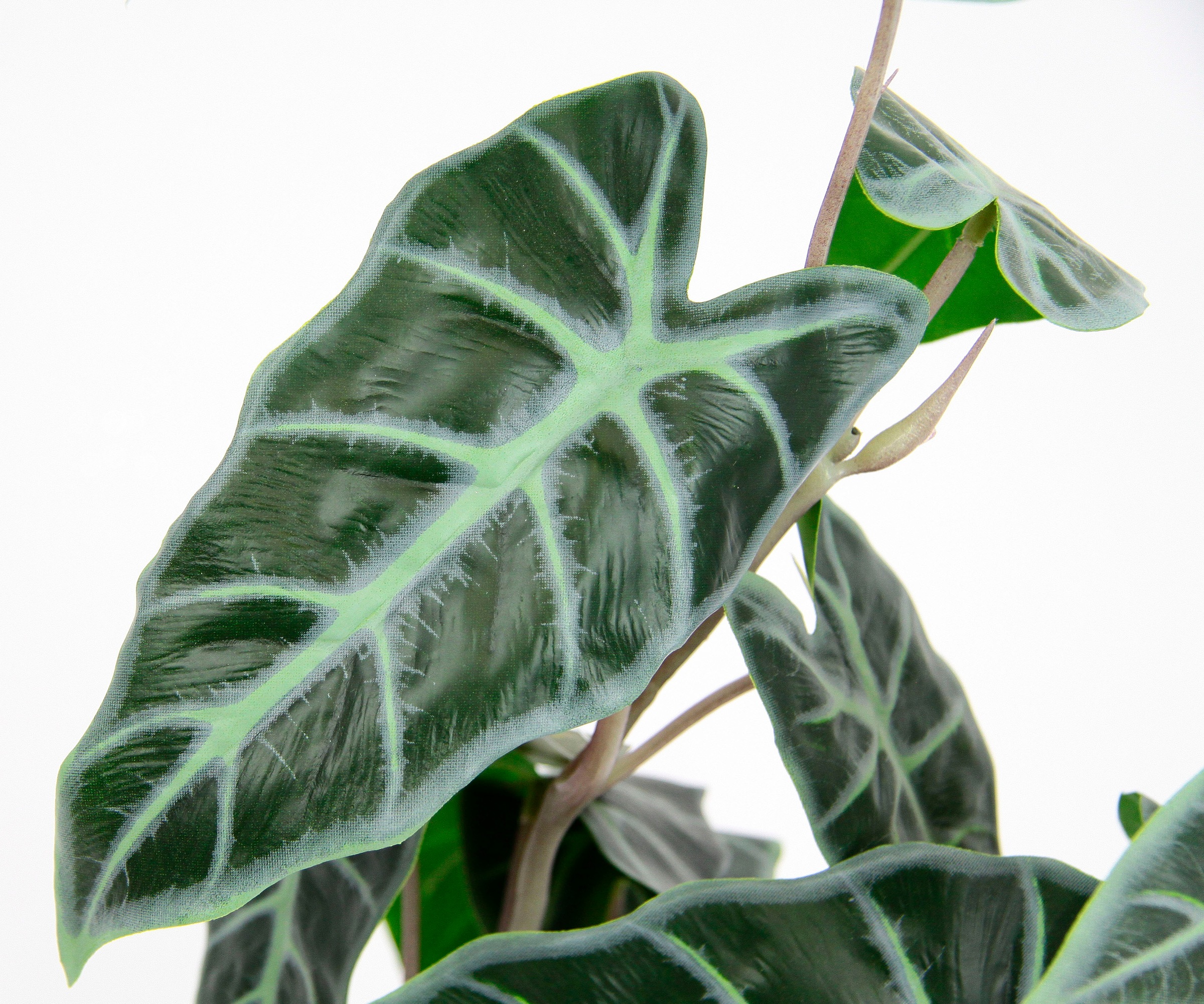 I.GE.A. Kunstpflanze »Calathea« Kunst-Pflanze Seidenblumen ZimmerpflanzeZebrina Alocasia Sanderiana