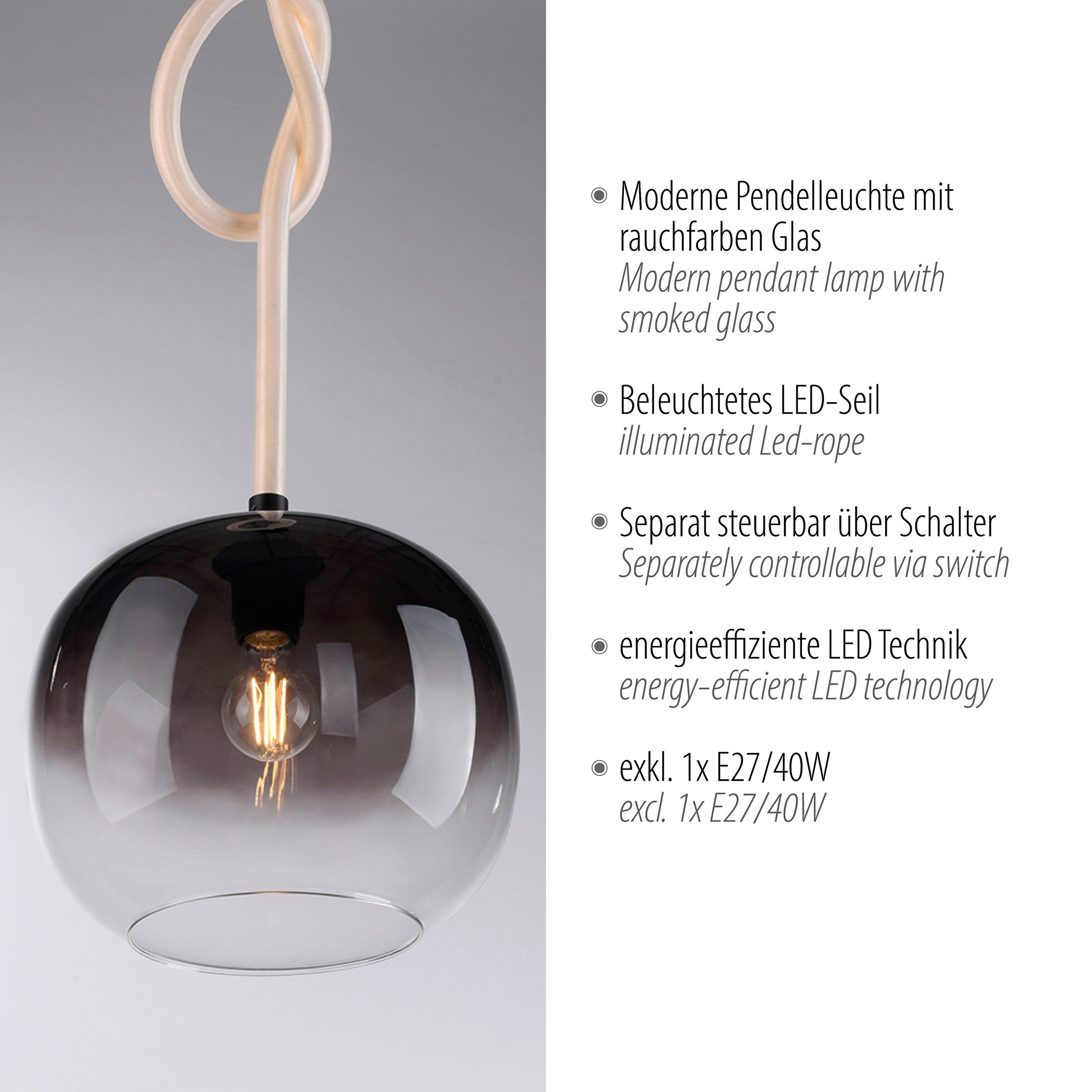 Paul Neuhaus Pendelleuchte »LUMA«, 2 flammig, Leuchtmittel LED-Board   LED günstig online kaufen