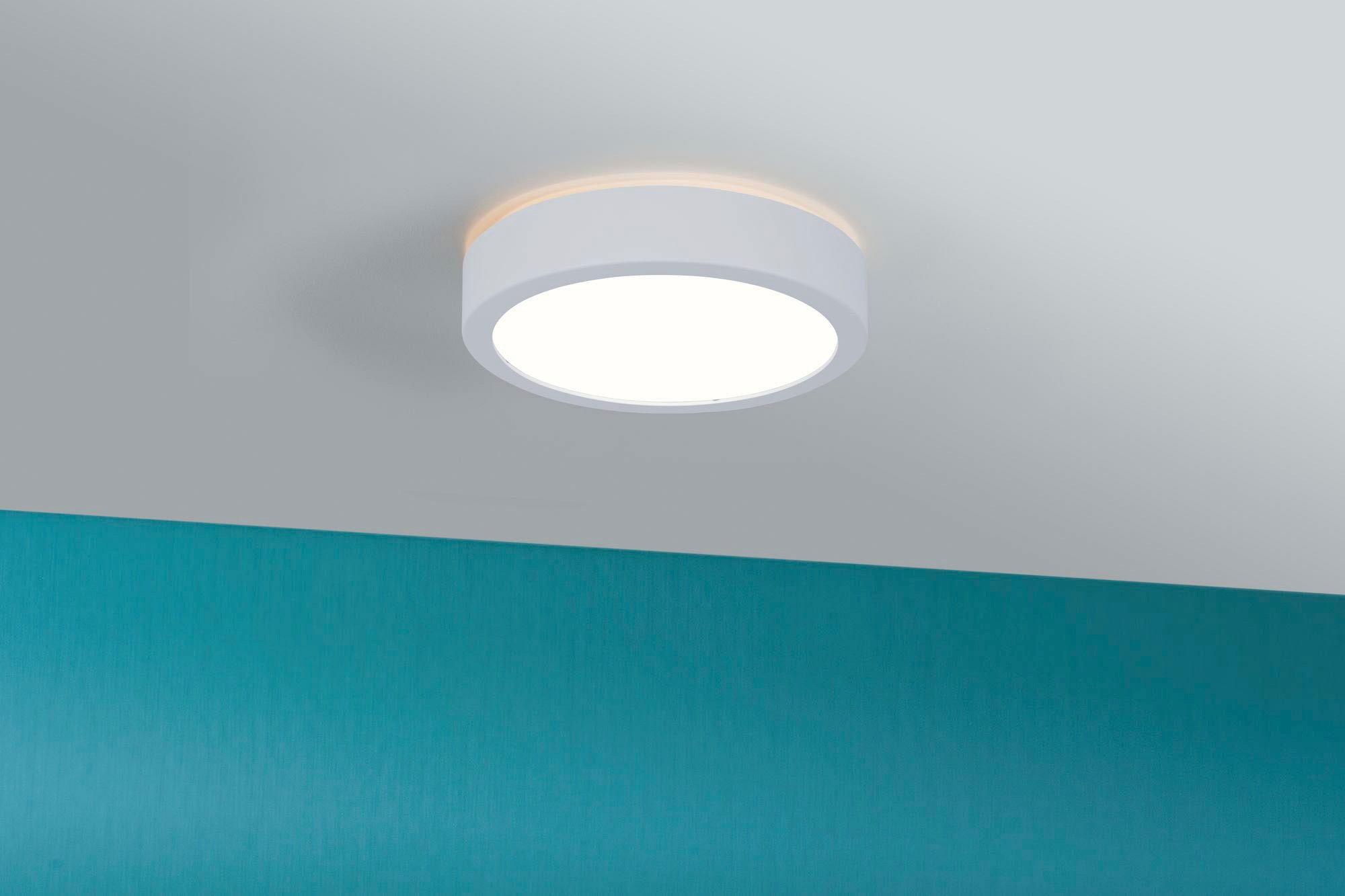 Paulmann LED Deckenleuchte »Aviar«, 1 flammig