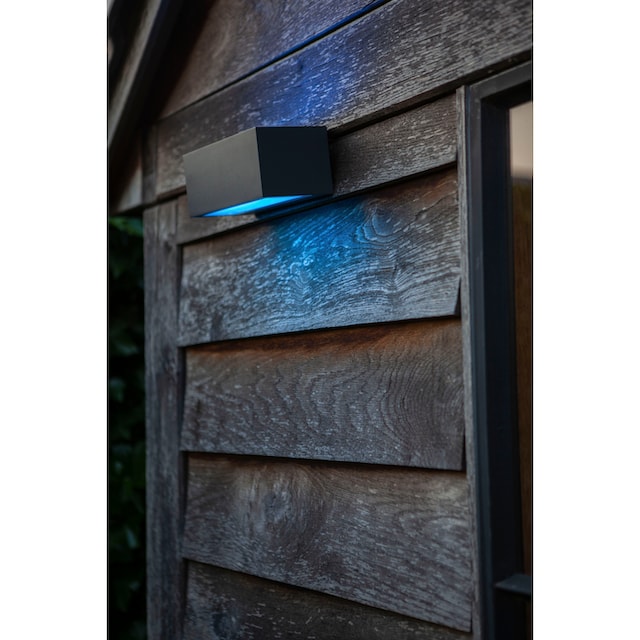 LUTEC Smarte LED-Leuchte »GEMINI«, Smart-Home online bestellen