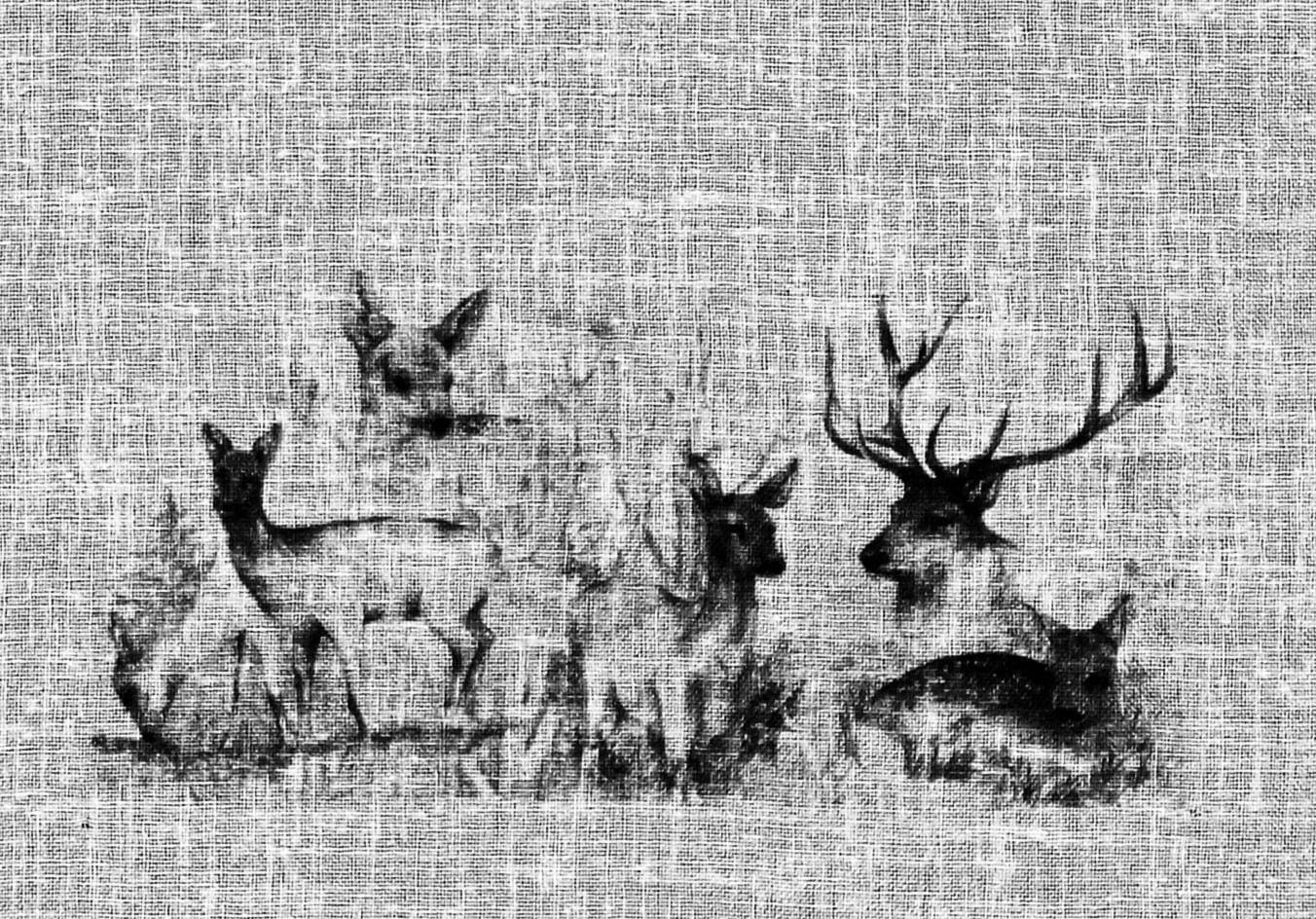 HOSSNER - ART HOME »Bambi«, kaufen (1 Gardine OF online DECO Landhaus-Look St.)