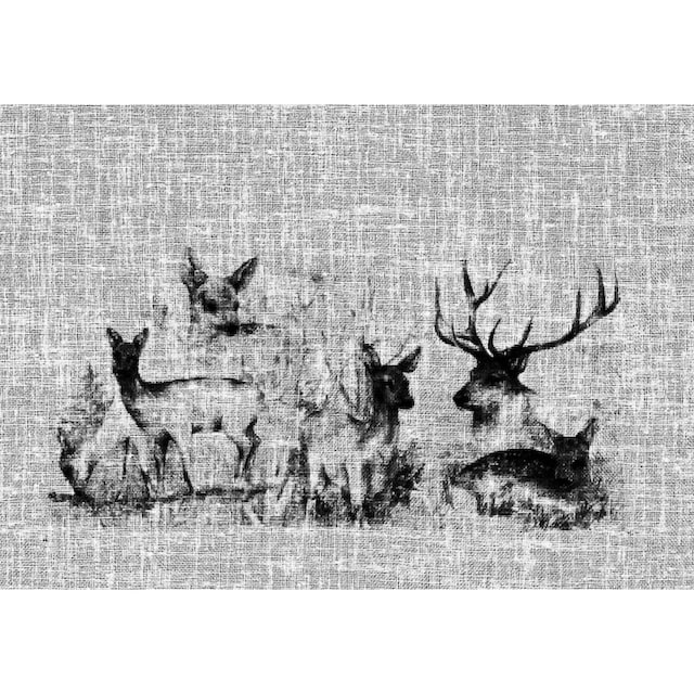 HOSSNER - ART OF HOME DECO Gardine »Bambi«, (1 St.), Landhaus-Look online  kaufen