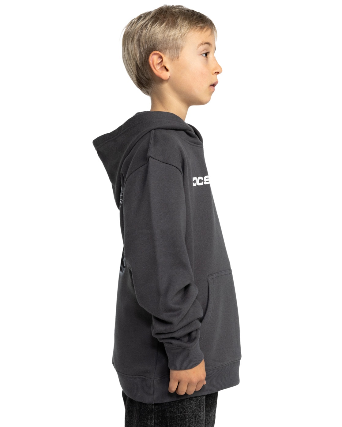 DC Shoes Hoodie »Whereabouts«