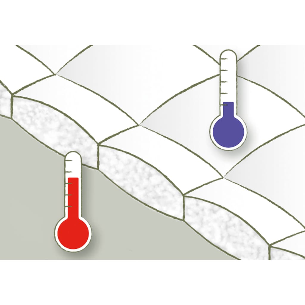 fjödur Federbettdecke »Fabiennes Basic, Bettdecken für Winter, Decke«, extrawarm, Füllung 85% Federn, 15% Daunen, Bezug 100% Baumwolle, (1 St.)