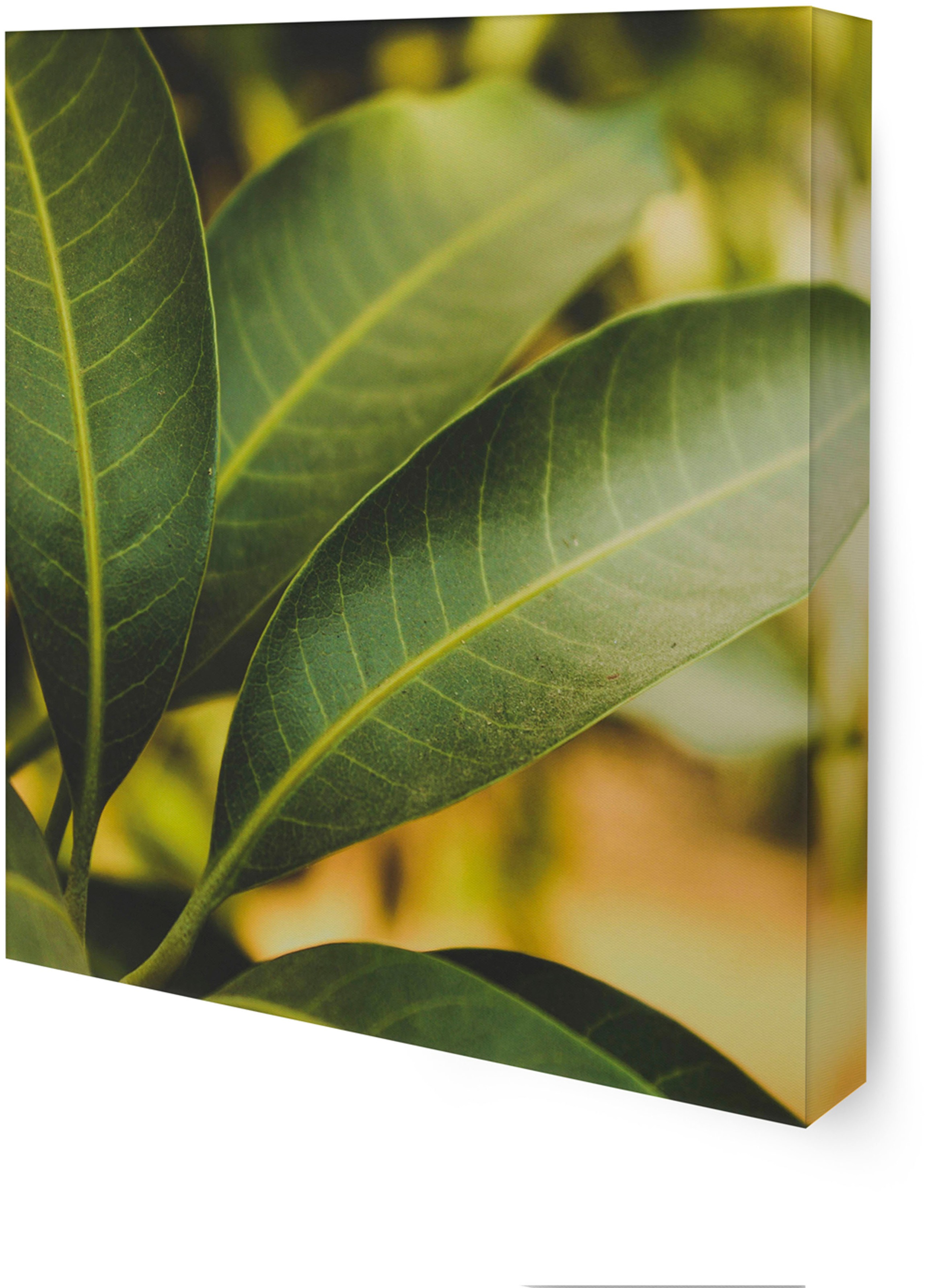 Art for the home Leinwandbild »Pure Natur«, Landschaft, (Set)