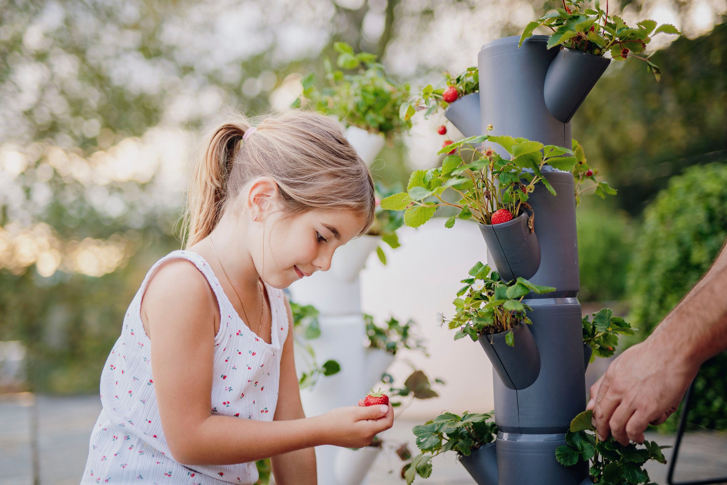 Gusta Garden Pflanzkübel »SISSI STRAWBERRY Erdbeerbaum«, 4 Etagen inkl