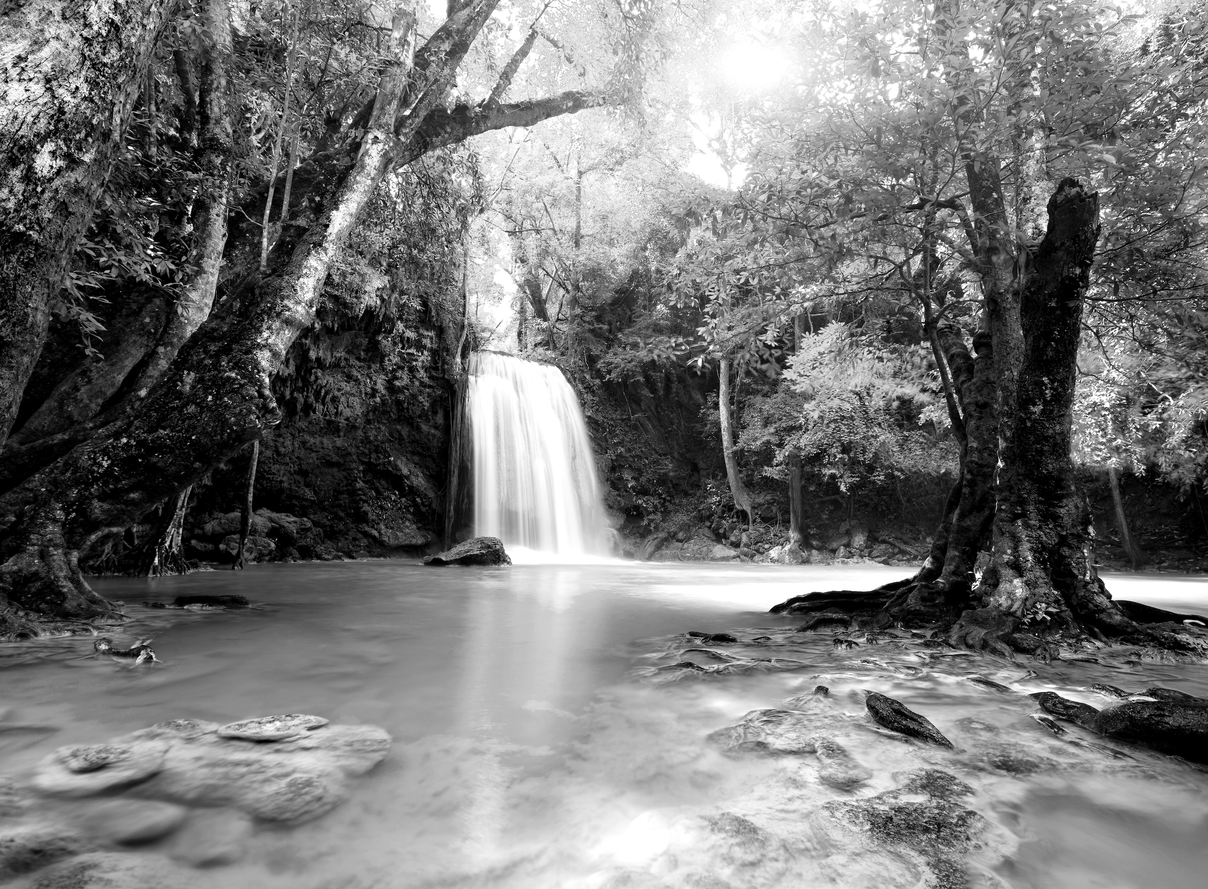 Papermoon Fototapete »Wasserfall im Wald Schwarz & Weiß«