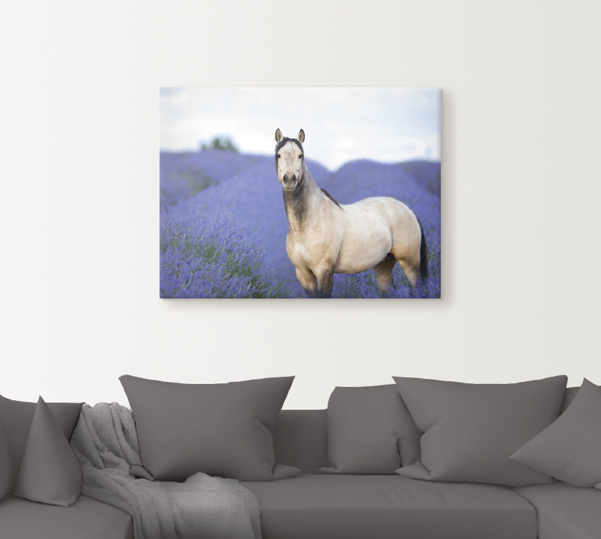 Artland Wandbild »Pferd und Blumen III«, Haustiere, (1 St.), als Leinwandbi günstig online kaufen