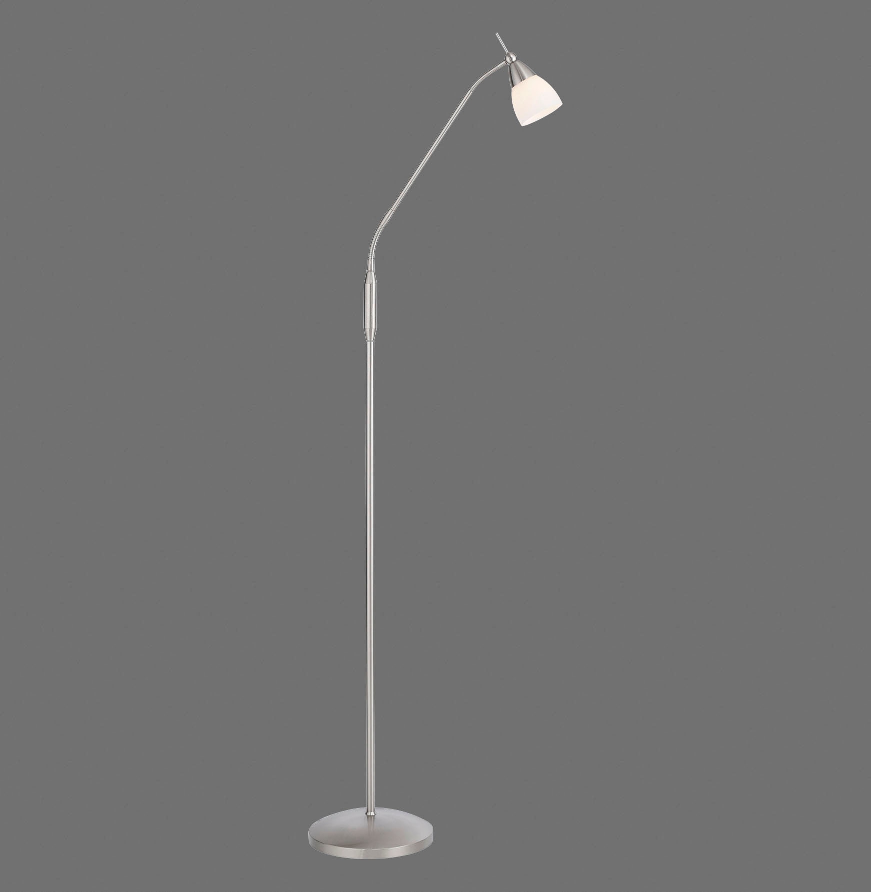 Paul Neuhaus Stehlampe »PINO«, 1 flammig, Leuchtmittel G9 | LED wechselbar