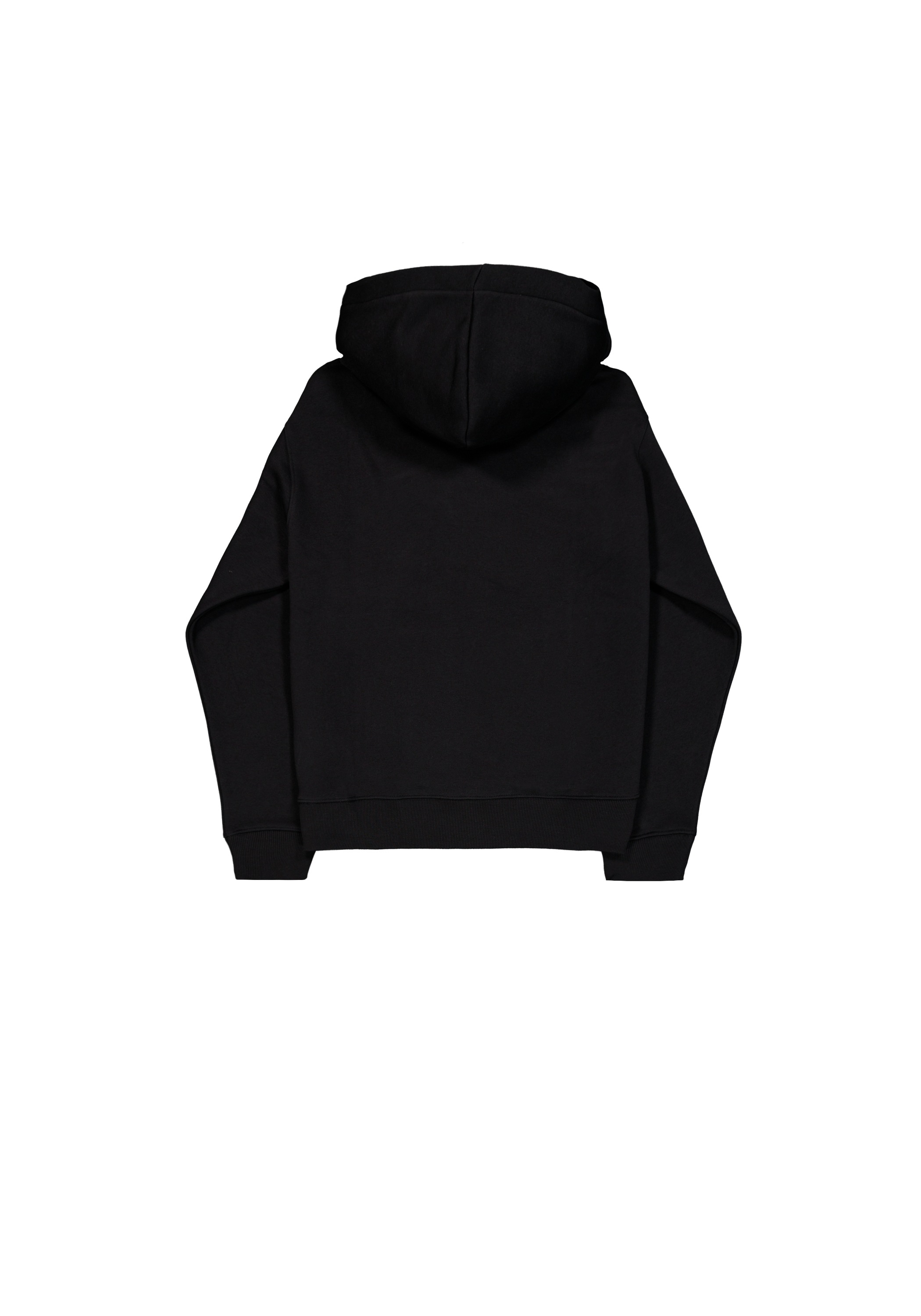 Alpha Industries Hoodie »Alpha Industries Men - Hoodies Basic Hoodie SL TPU«