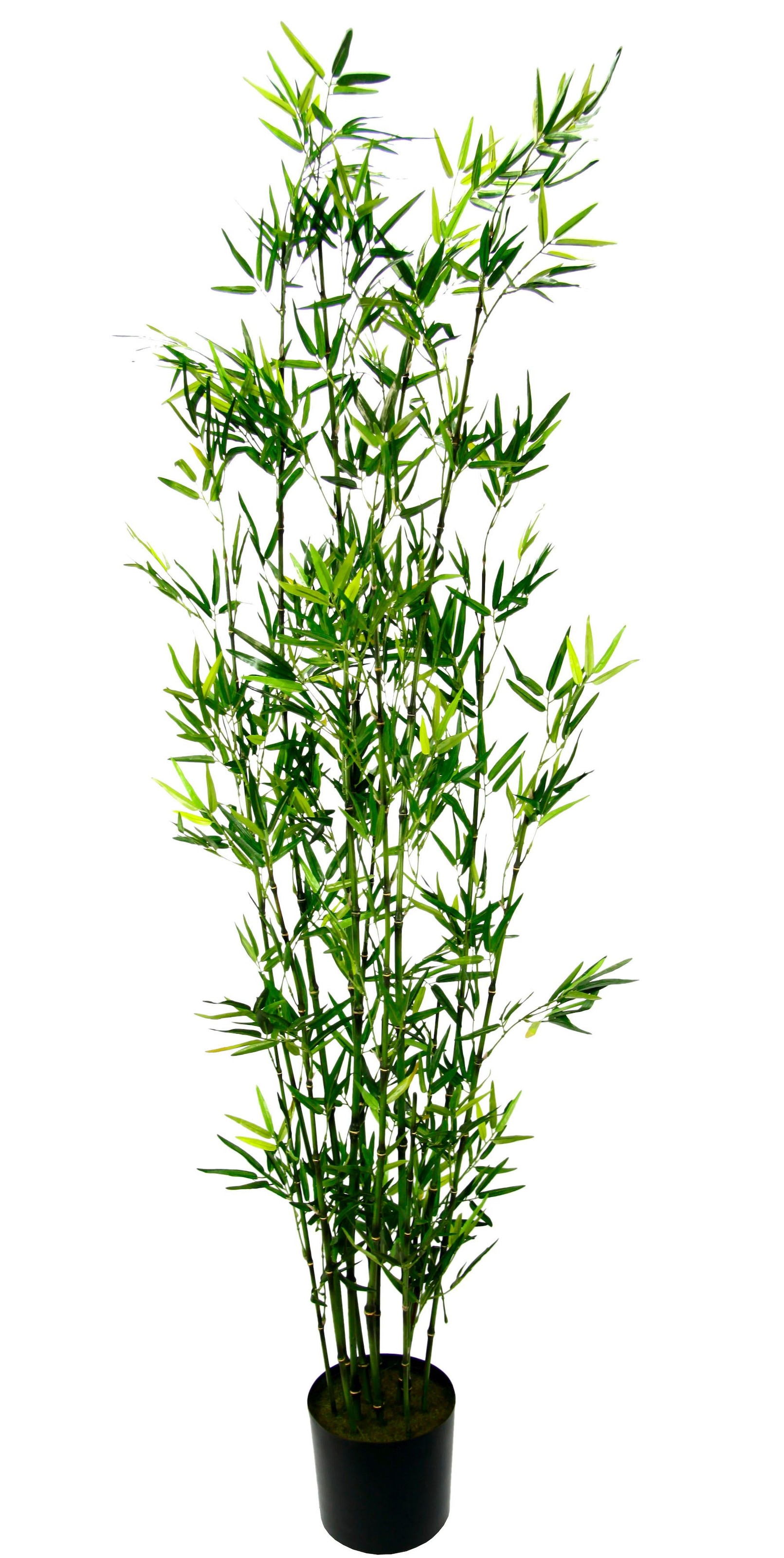 I.GE.A. Kunstpflanze »Bambus im Topf« auf Rechnung kaufen