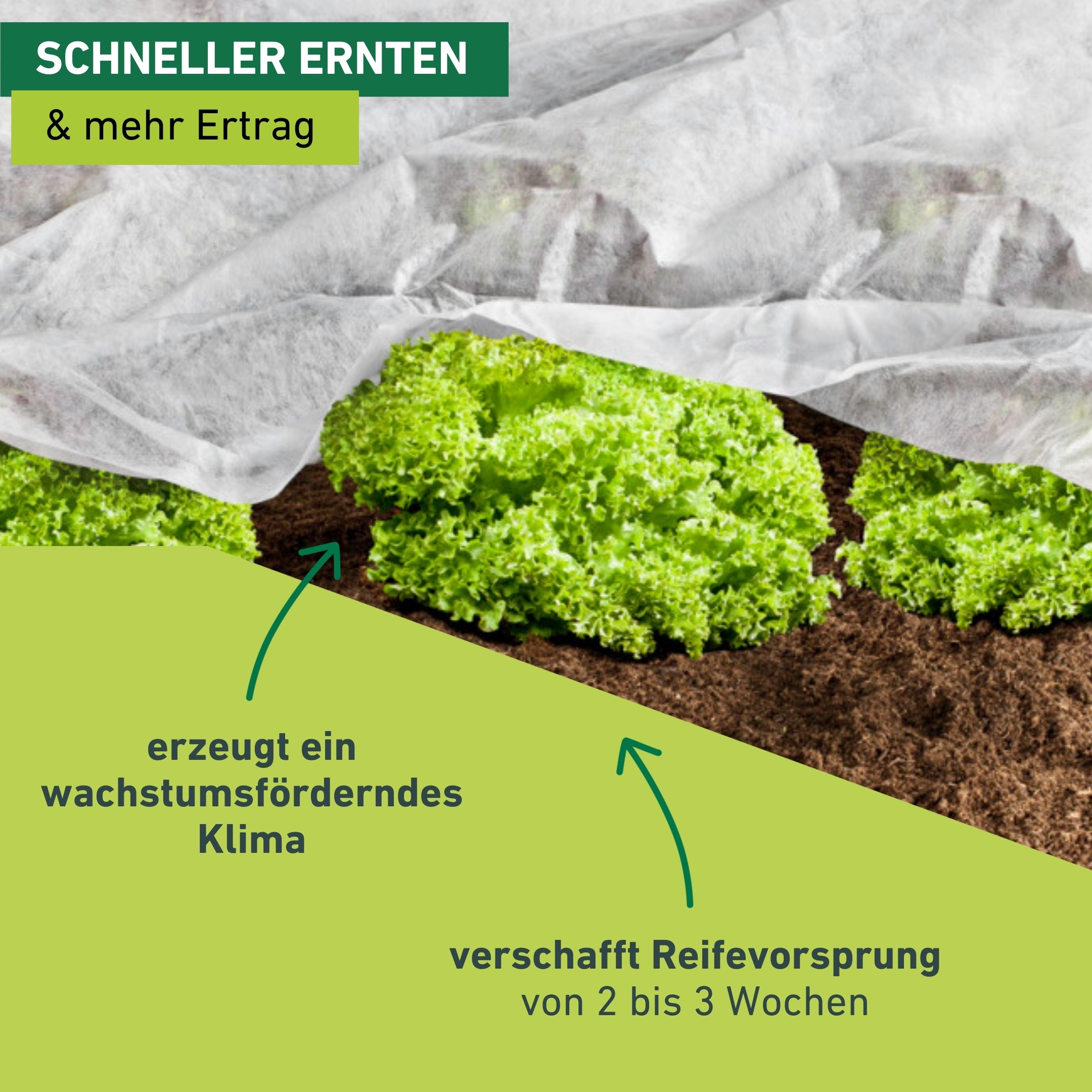 Windhager Gartenvlies »für Hoch-, Freilandbeete, ÖKO Wachstumsvlies zur Anzucht von Pflanzen« 1 Stk. tlg. erhältlich in 5 x 1,5 m oder 10 x 1,5 m, 18 g/m², weiß