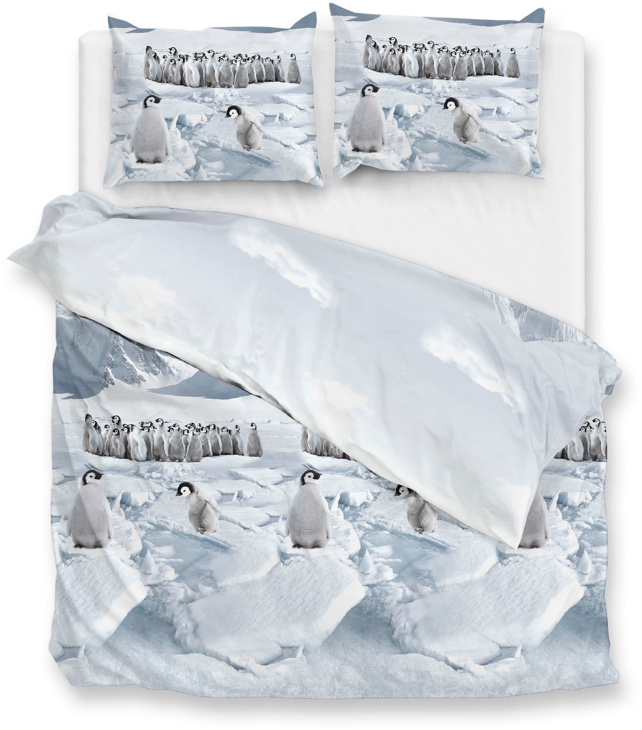 ZO HOME Bettwäsche »Pinguini« 1 Stk. tlg. Bettwäsche aus 100% Baumwolle, ho günstig online kaufen