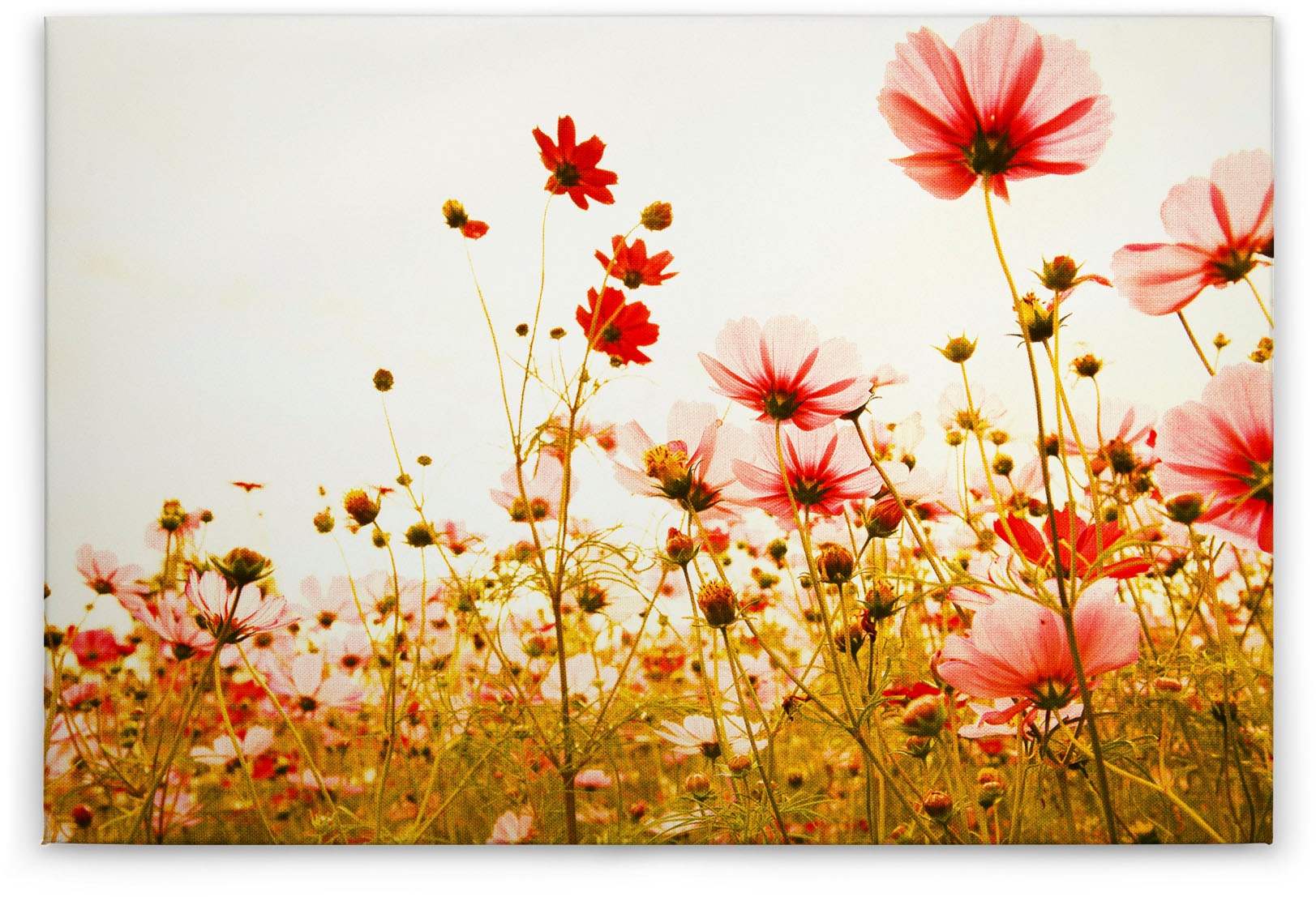 A.S. Création Leinwandbild »Flower Meadow«, Kunst-Blumen-Kinder, (1 St.), Mohnblume Keilrahmen Blumenwiese Leinwand-Bild Wohnzimmer modern Wand