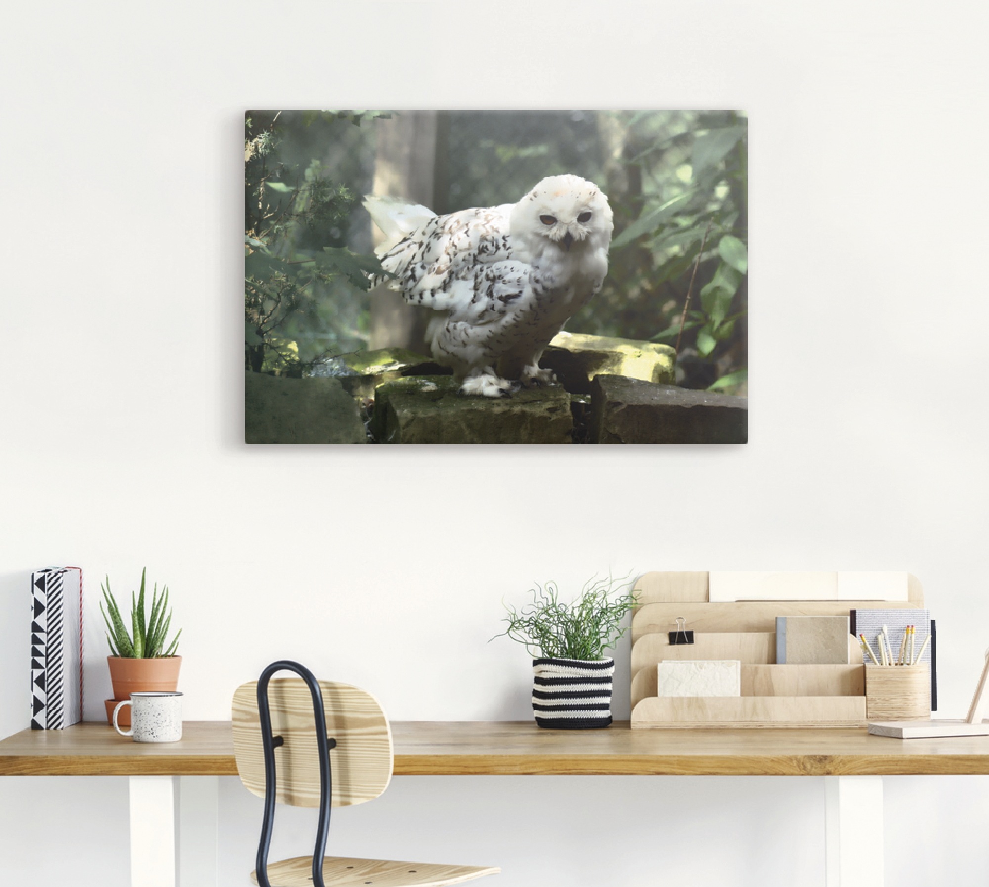 Artland Leinwandbild »Schneeeule«, Vögel, (1 St.), auf Keilrahmen gespannt günstig online kaufen