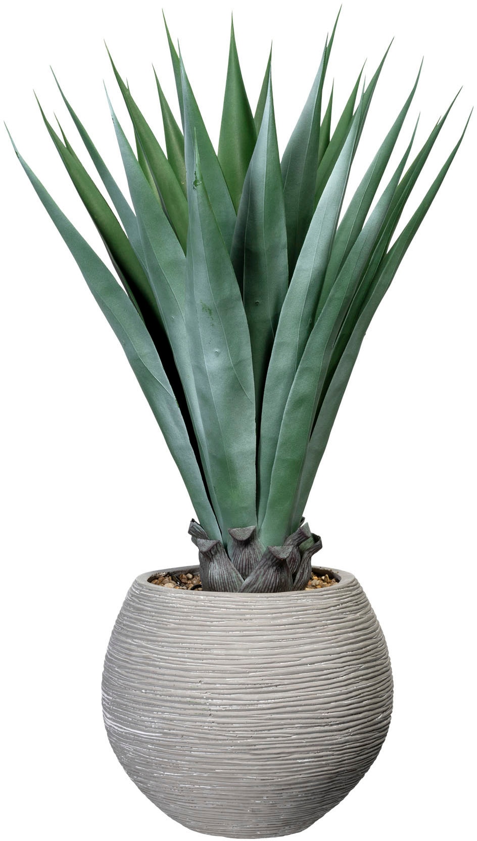Creativ green Künstliche Zimmerpflanze auf Rechnung »Agave«, (1 St.), kaufen Zementtopf im