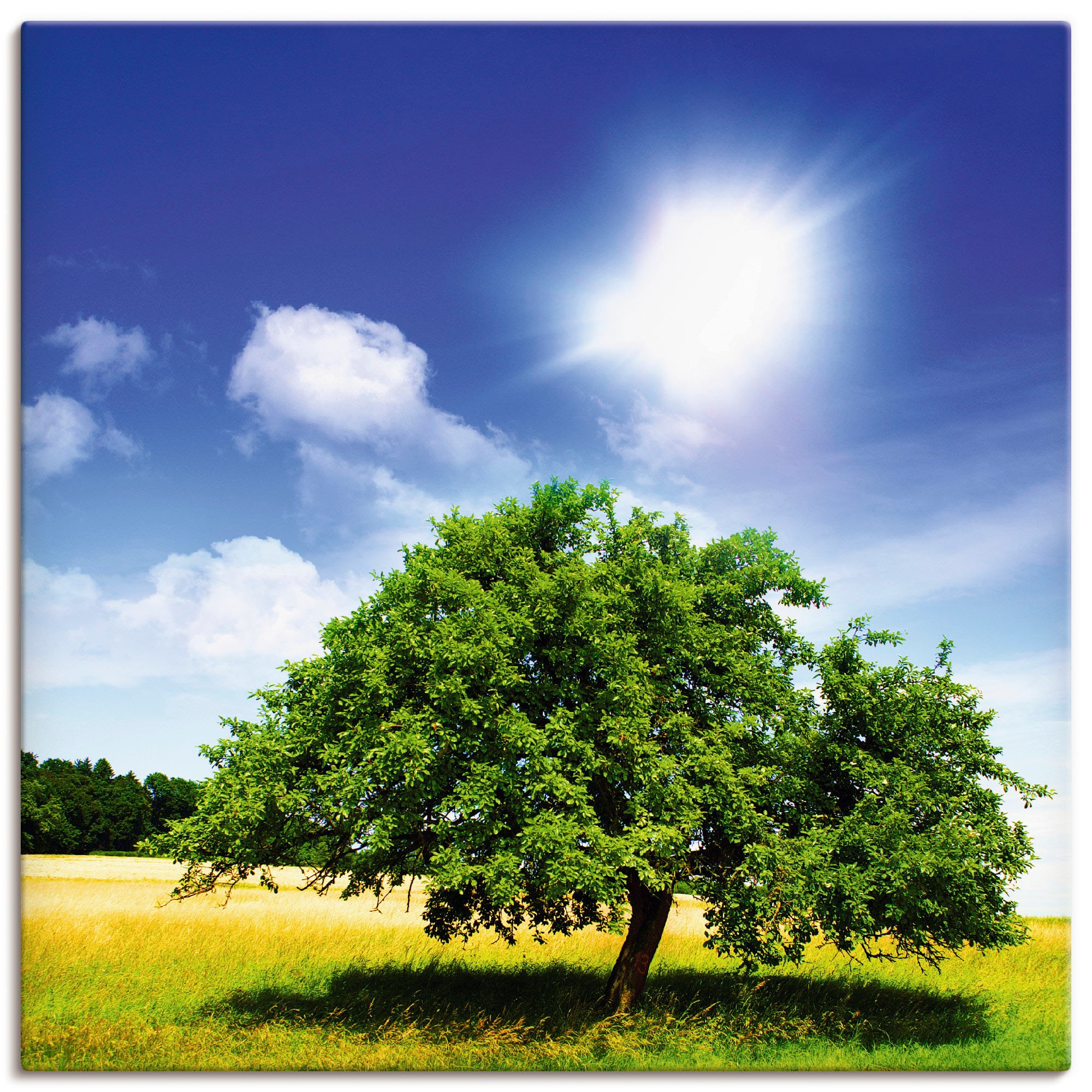 Artland Wandbild »Baum des Lebens«, Rechnung Leinwandbild, St.), Bäume, Wandaufkleber (1 als auf Poster oder Alubild, kaufen versch. in Größen