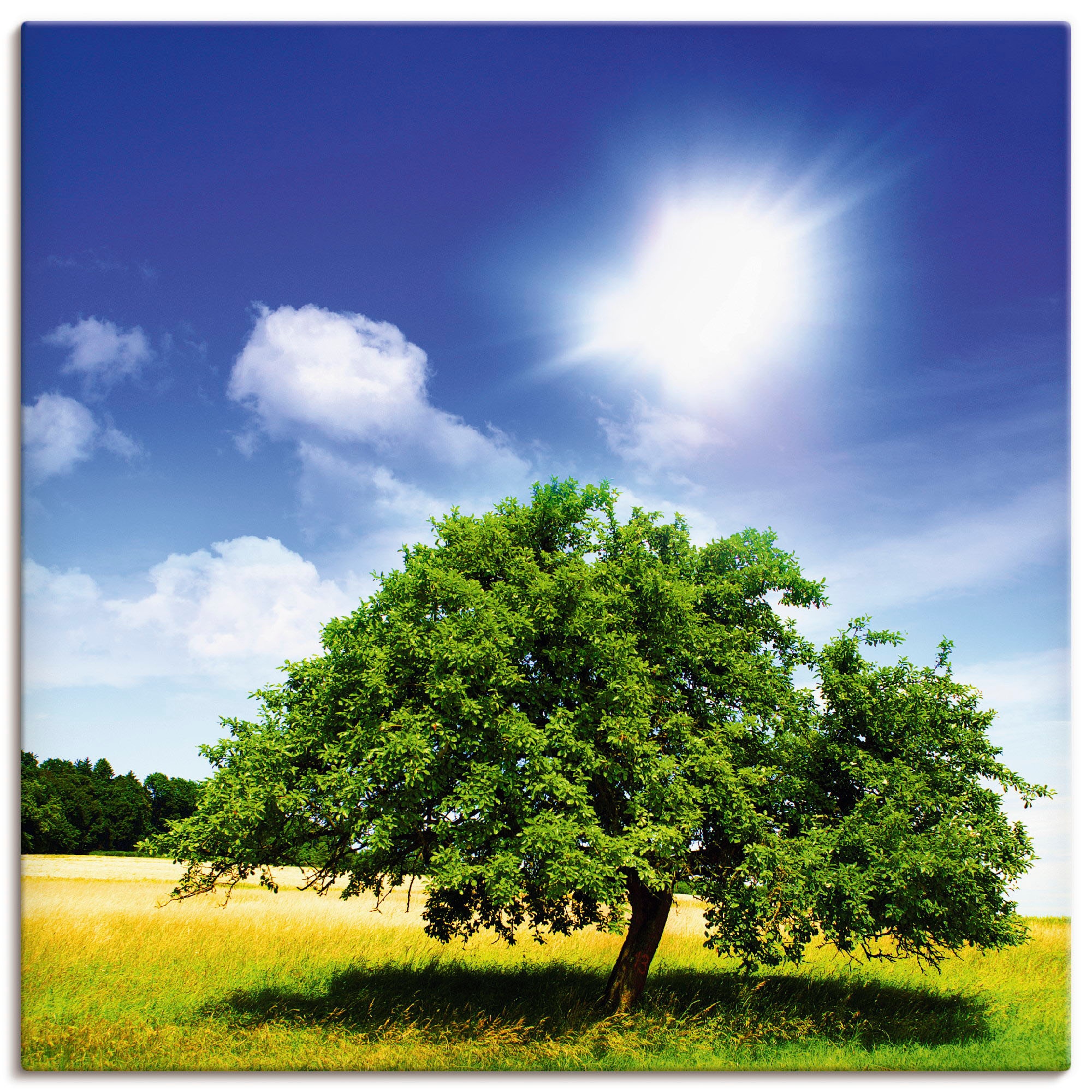 Artland Wandbild »Baum des Lebens«, Bäume, (1 St.), als Leinwandbild, Poste günstig online kaufen